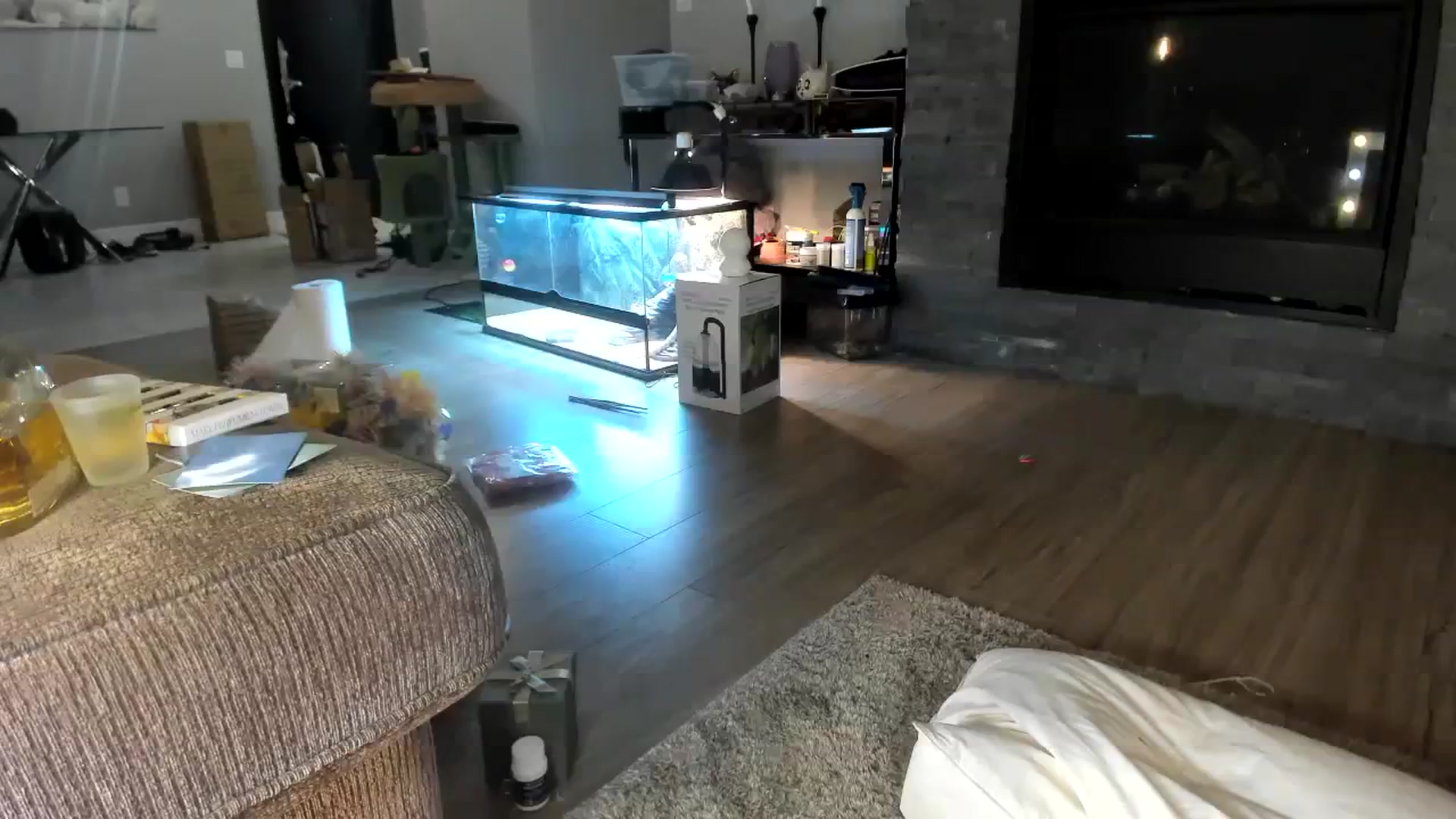 Gallery image thumbnail from Laurel's myfreecams stream on, 01/26/2024, 06:55 image 12 of 20