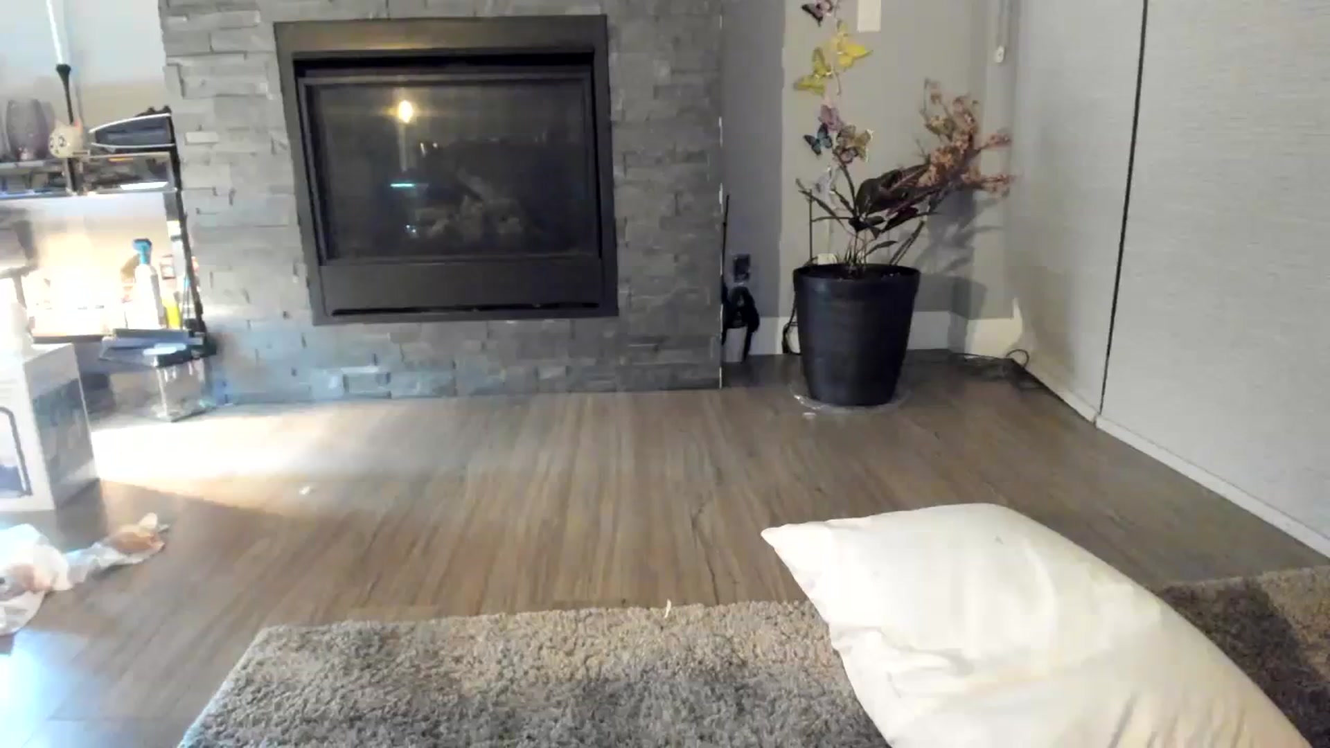 Gallery image thumbnail from Laurel's myfreecams stream on, 01/26/2024, 09:57 image 20 of 20