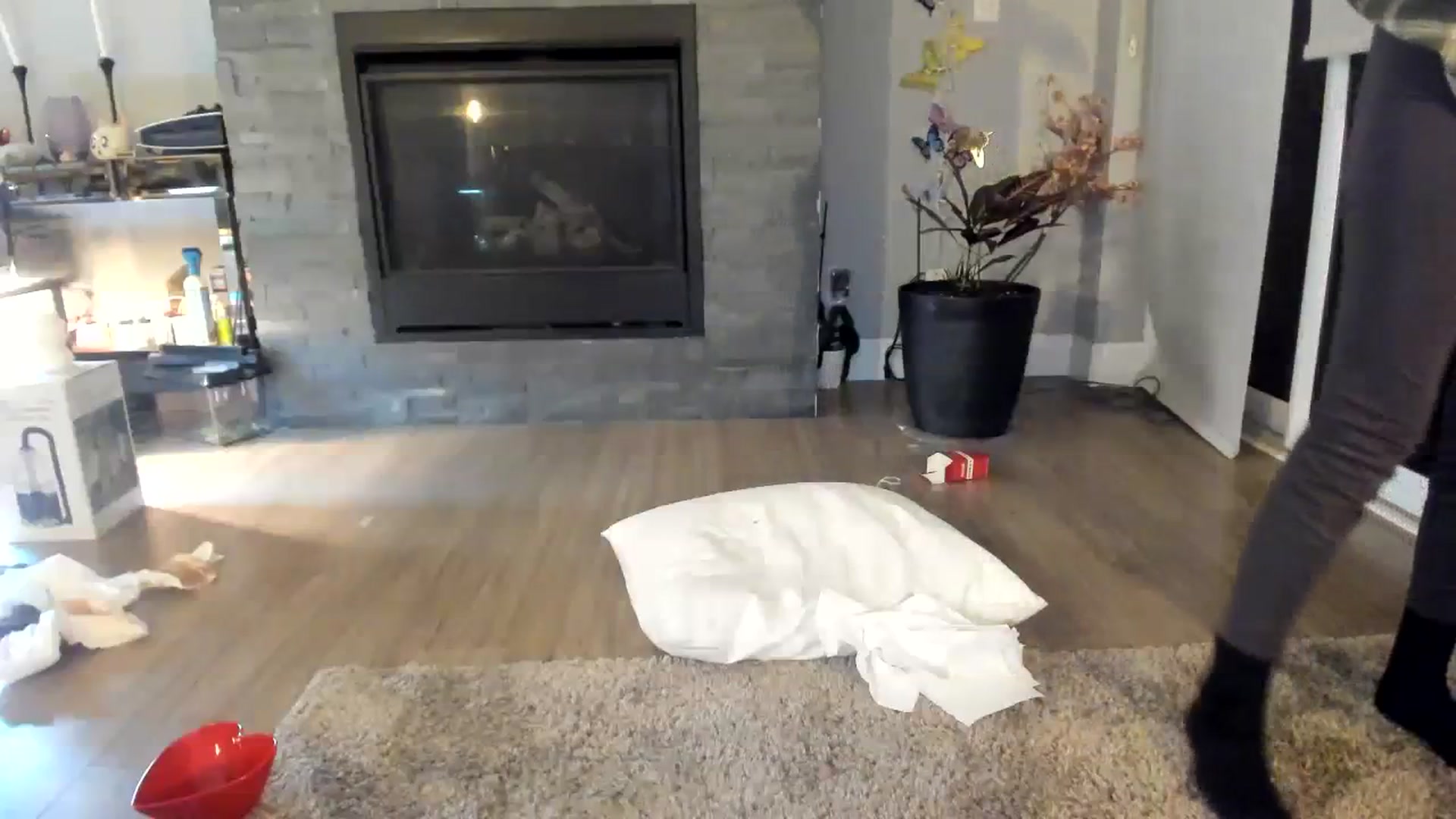 Gallery image thumbnail from Laurel's myfreecams stream on, 01/26/2024, 09:57 image 11 of 20
