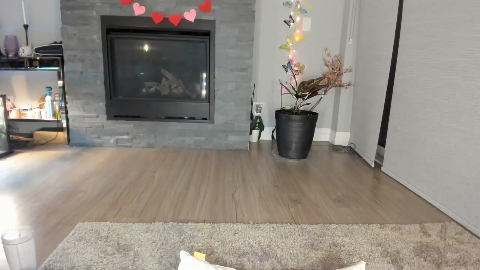 Gallery image thumbnail from Laurel's myfreecams stream on, 01/29/2024, 06:08 image 17 of 20