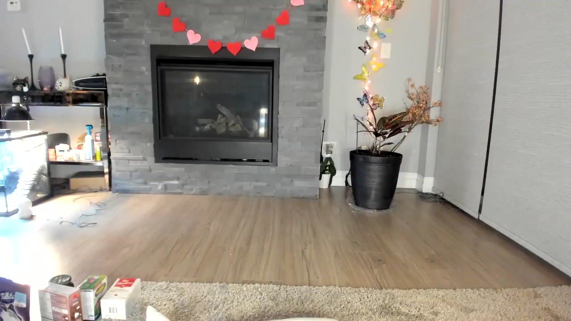 Gallery image thumbnail from Laurel's myfreecams stream on, 01/30/2024, 06:38 image 17 of 20