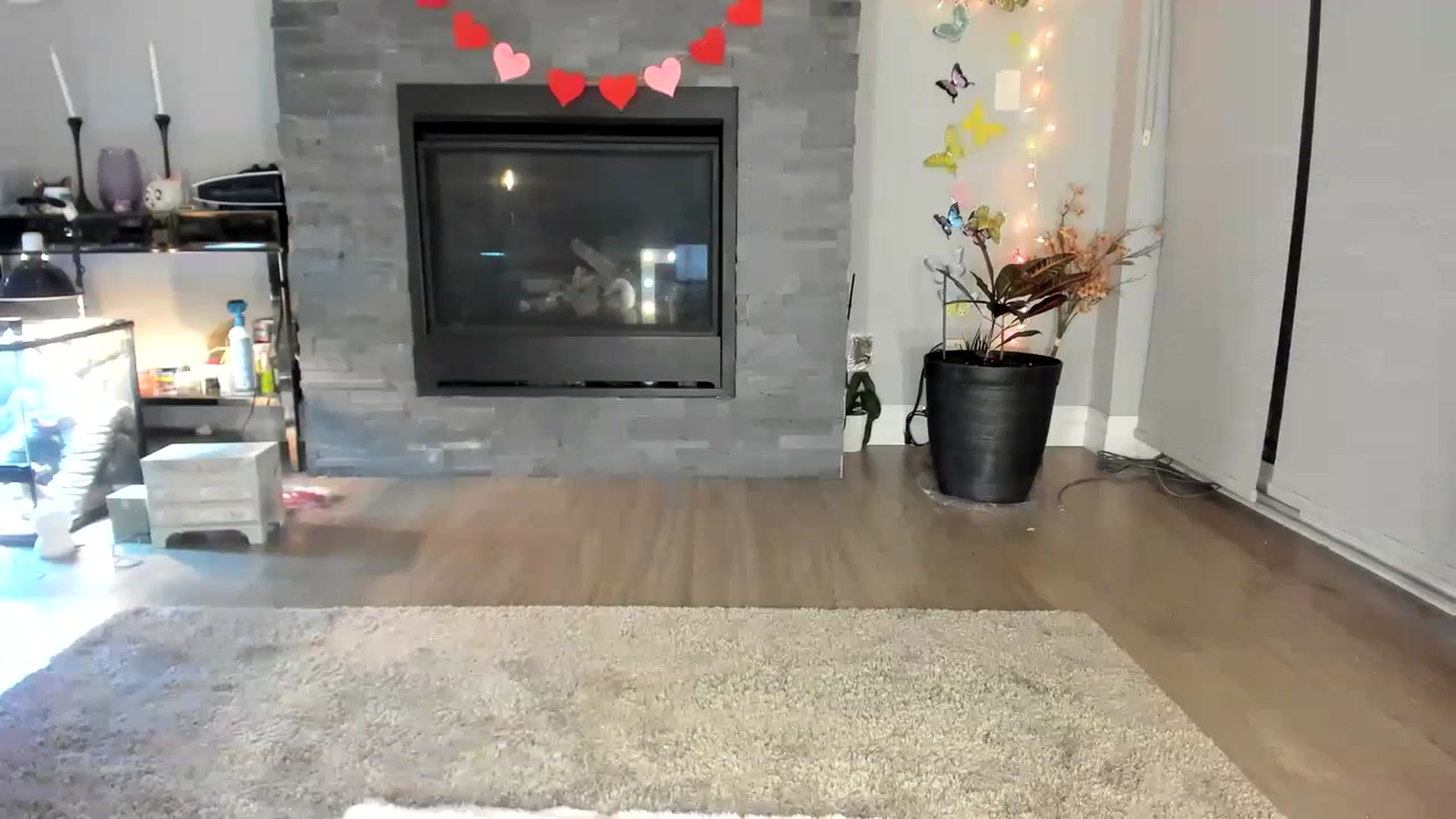 Gallery image thumbnail from Laurel's myfreecams stream on, 02/02/2024, 05:40 image 20 of 20