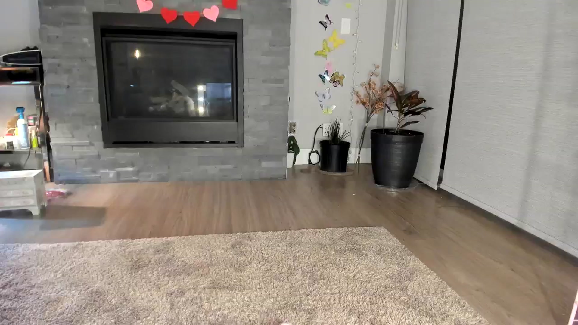 Gallery image thumbnail from Laurel's myfreecams stream on, 02/03/2024, 04:41 image 6 of 20