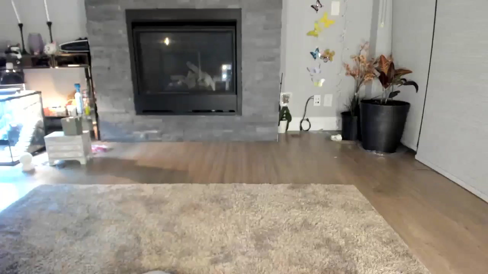 Gallery image thumbnail from Laurel's myfreecams stream on, 02/05/2024, 05:53 image 15 of 20