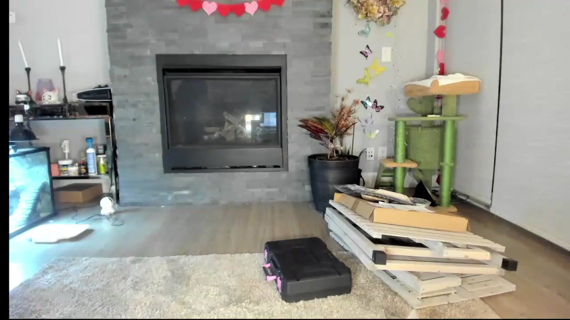 Gallery image thumbnail from Laurel's myfreecams stream on, 02/14/2024, 09:07 image 7 of 20
