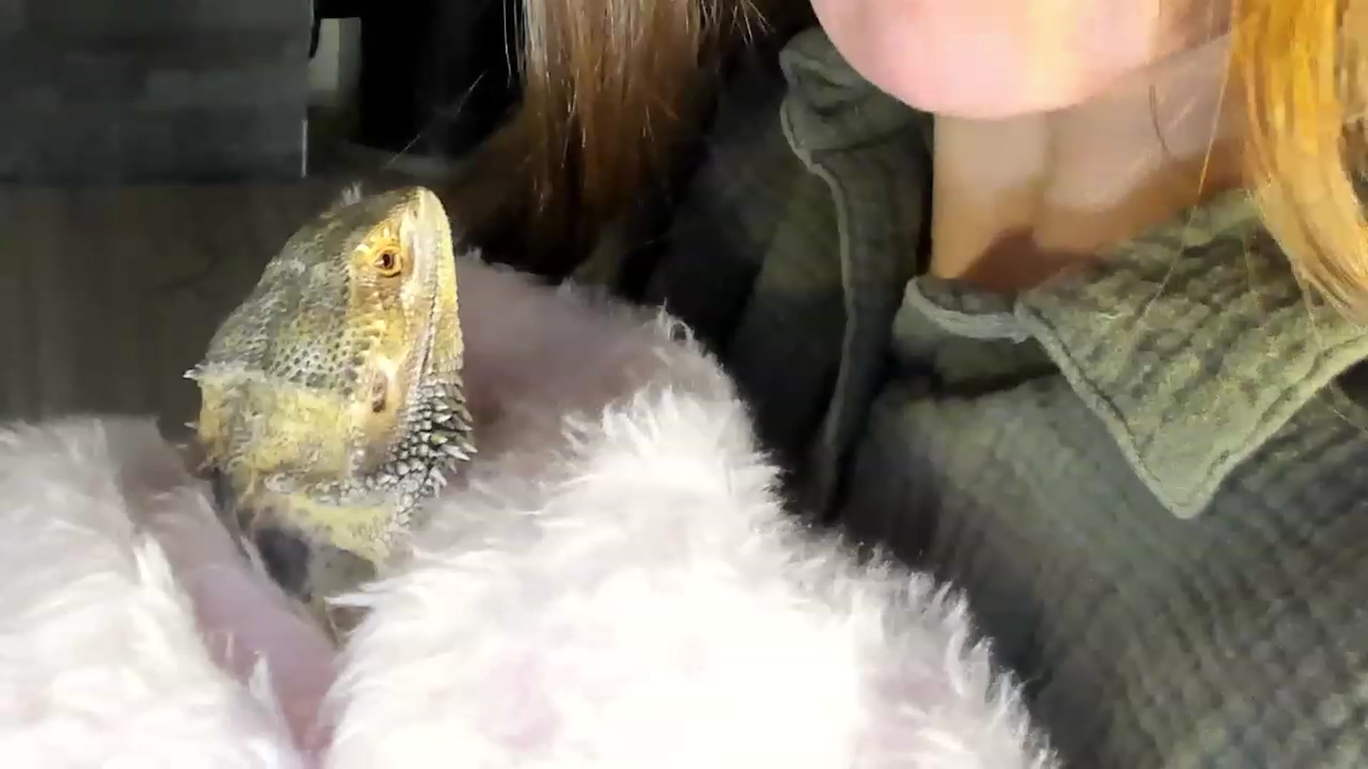 Gallery image thumbnail from Laurel's myfreecams stream on, 02/23/2024, 05:47 image 18 of 20