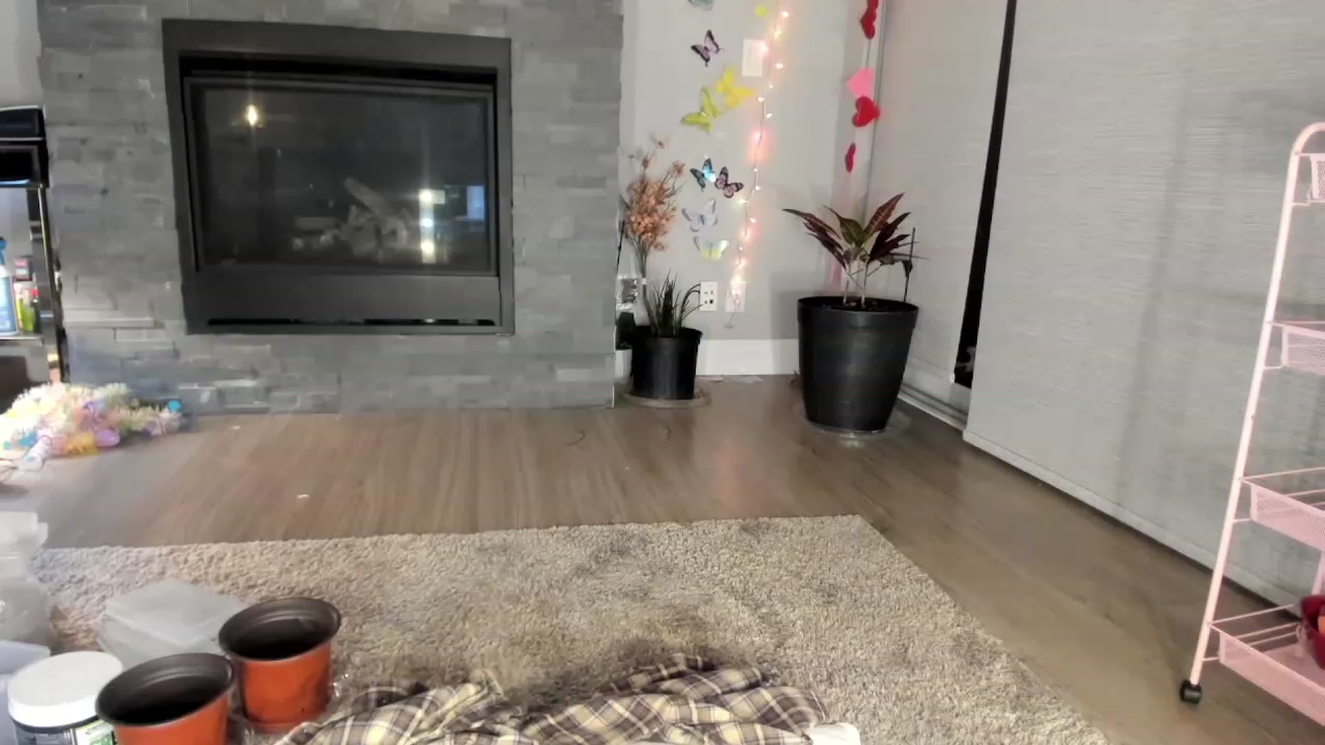 Gallery image thumbnail from Laurel's myfreecams stream on, 02/24/2024, 11:01 image 16 of 20