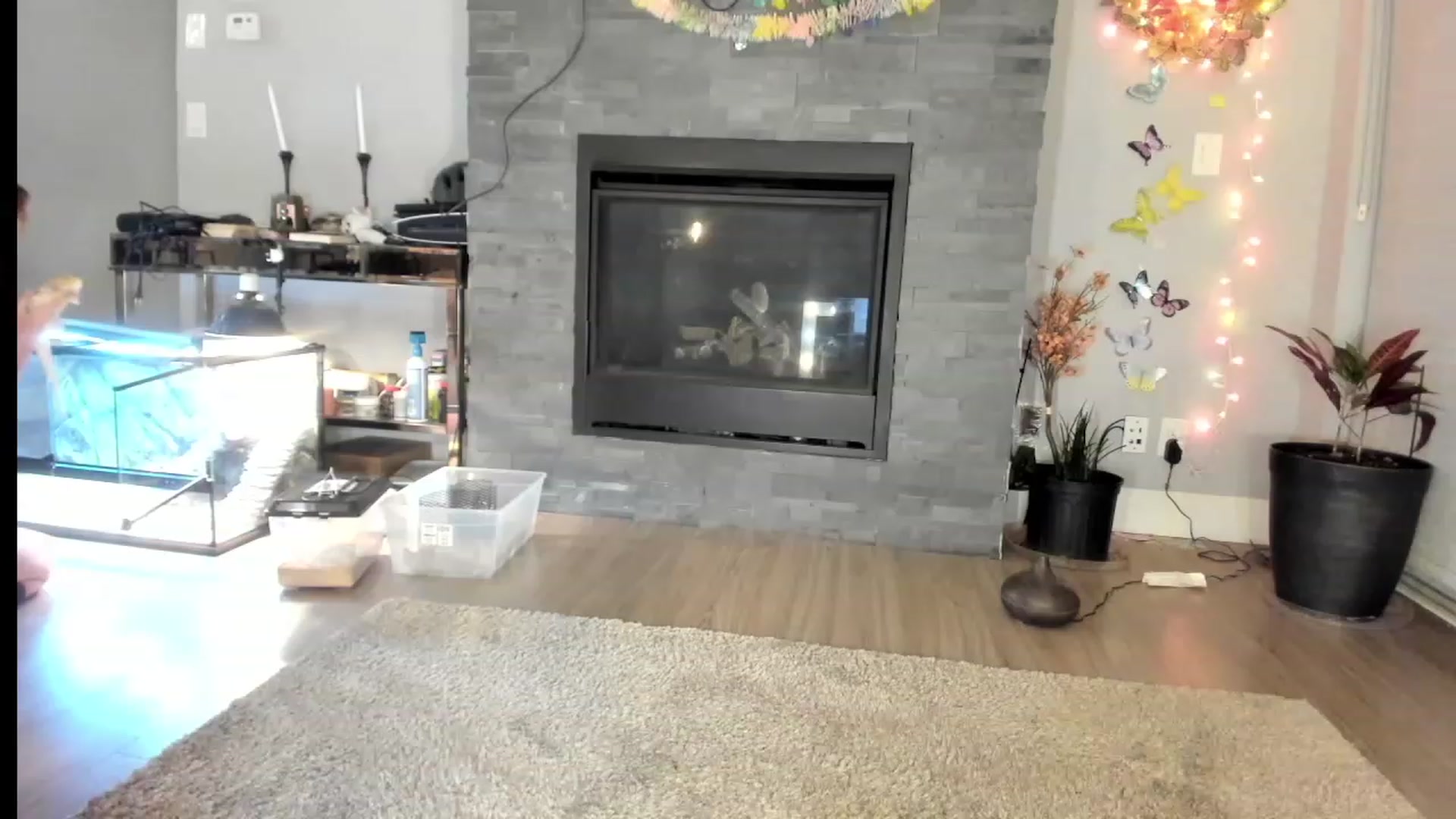 Gallery image thumbnail from Laurel's myfreecams stream on, 03/03/2024, 06:09 image 1 of 20