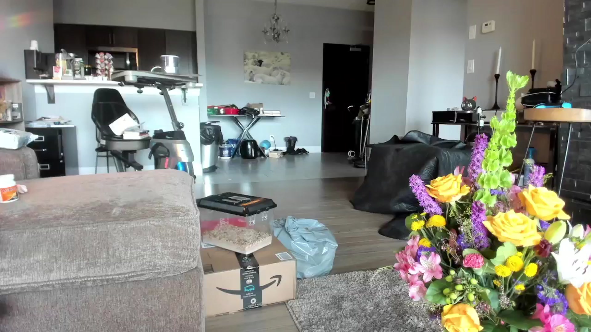 Gallery image thumbnail from Laurel's myfreecams stream on, 03/17/2024, 19:08 image 15 of 20