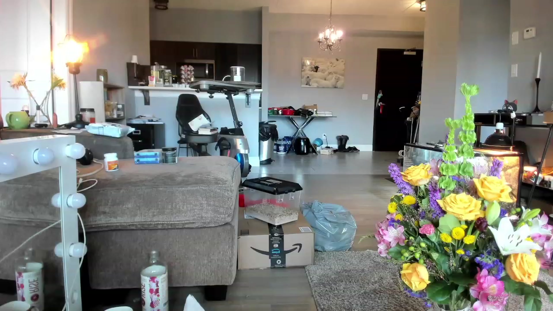 Gallery image thumbnail from Laurel's myfreecams stream on, 03/17/2024, 21:43 image 9 of 20