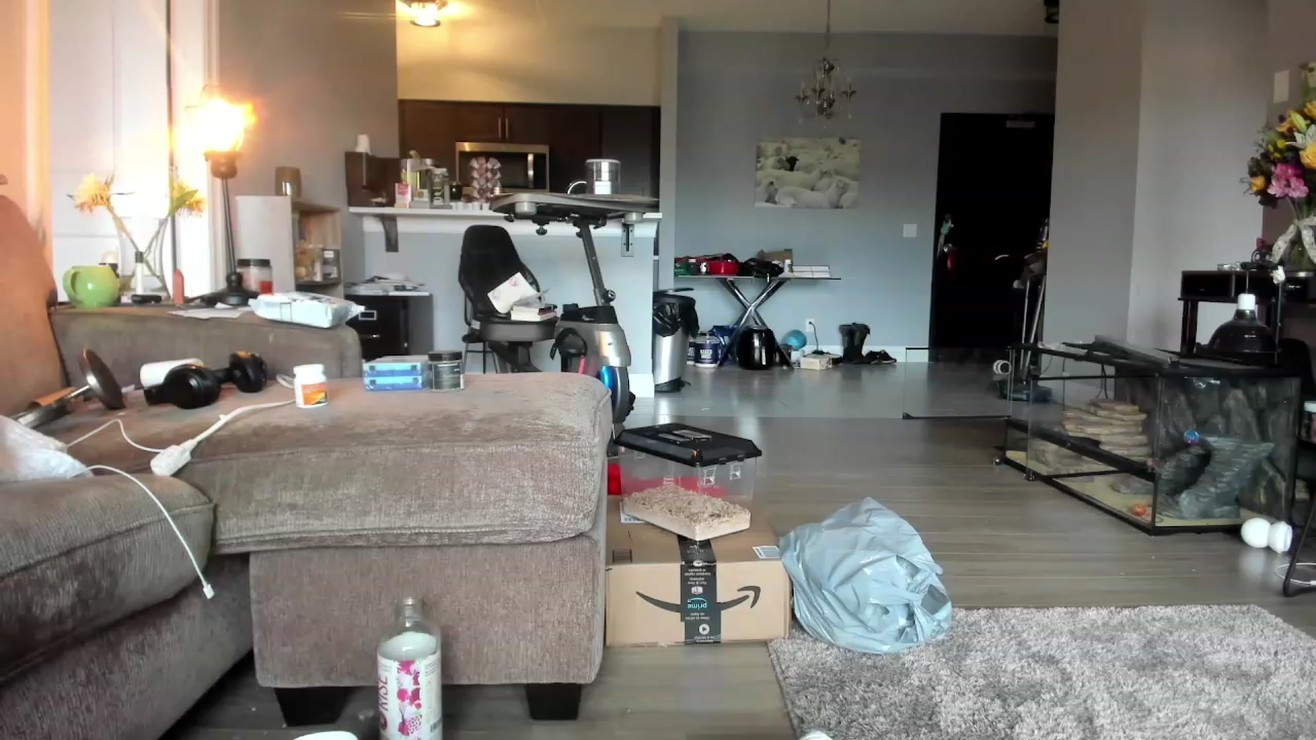 Gallery image thumbnail from Laurel's myfreecams stream on, 03/17/2024, 21:43 image 20 of 20