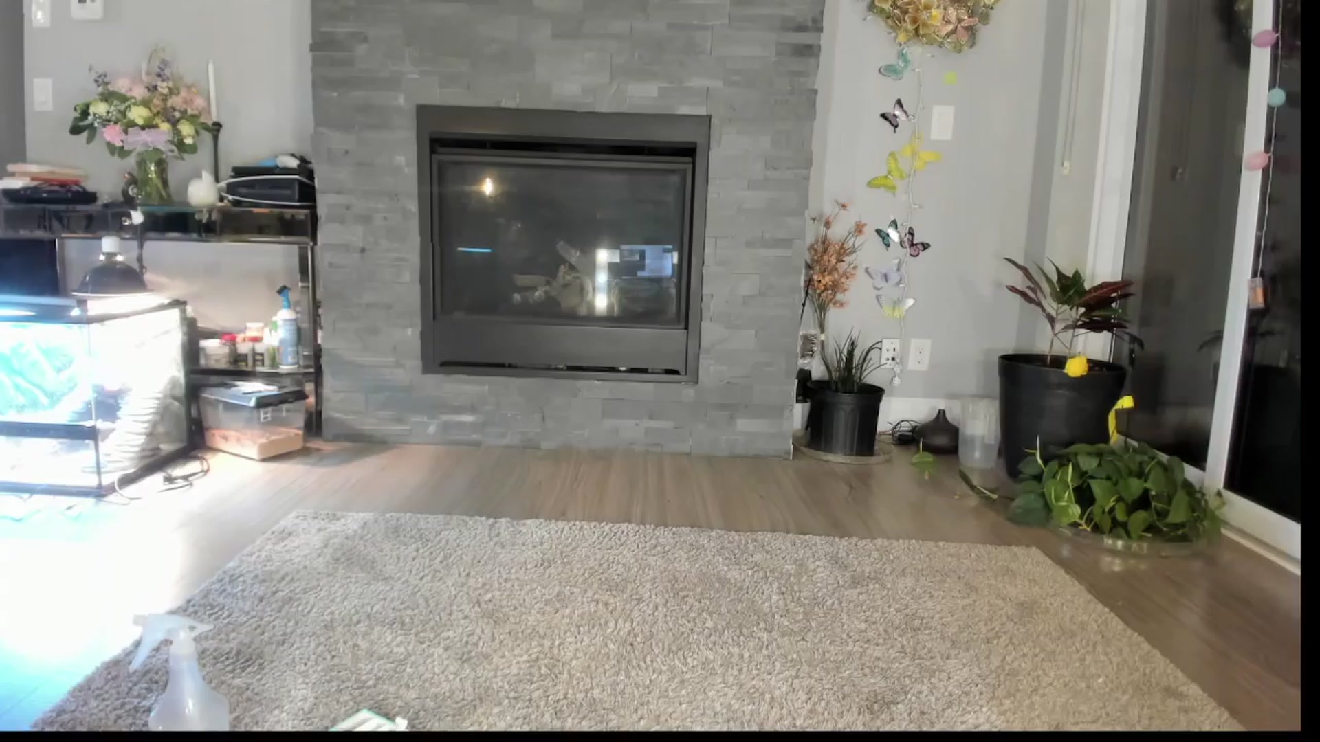 Gallery image thumbnail from Laurel's myfreecams stream on, 04/06/2024, 04:00 image 13 of 20