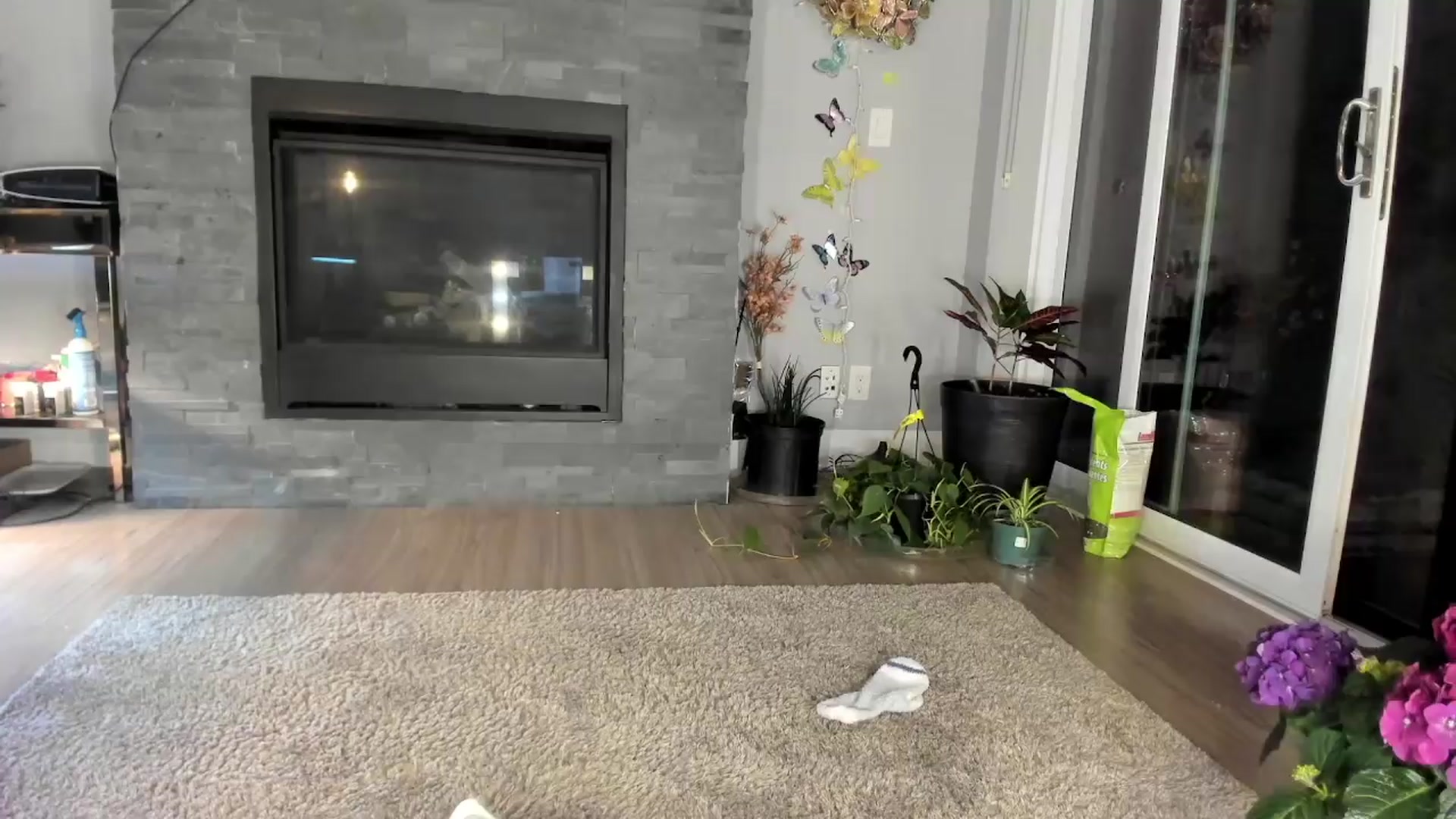 Gallery image thumbnail from Laurel's myfreecams stream on, 04/14/2024, 06:53 image 19 of 20