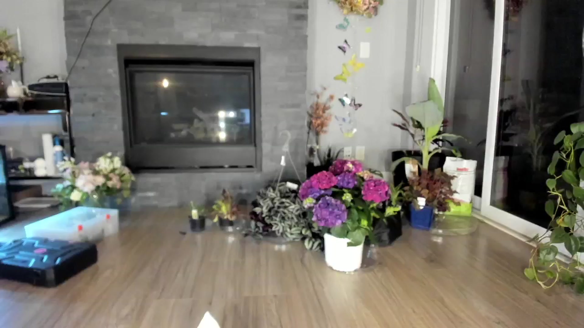 Gallery image thumbnail from Laurel's myfreecams stream on, 04/23/2024, 07:59 image 13 of 20