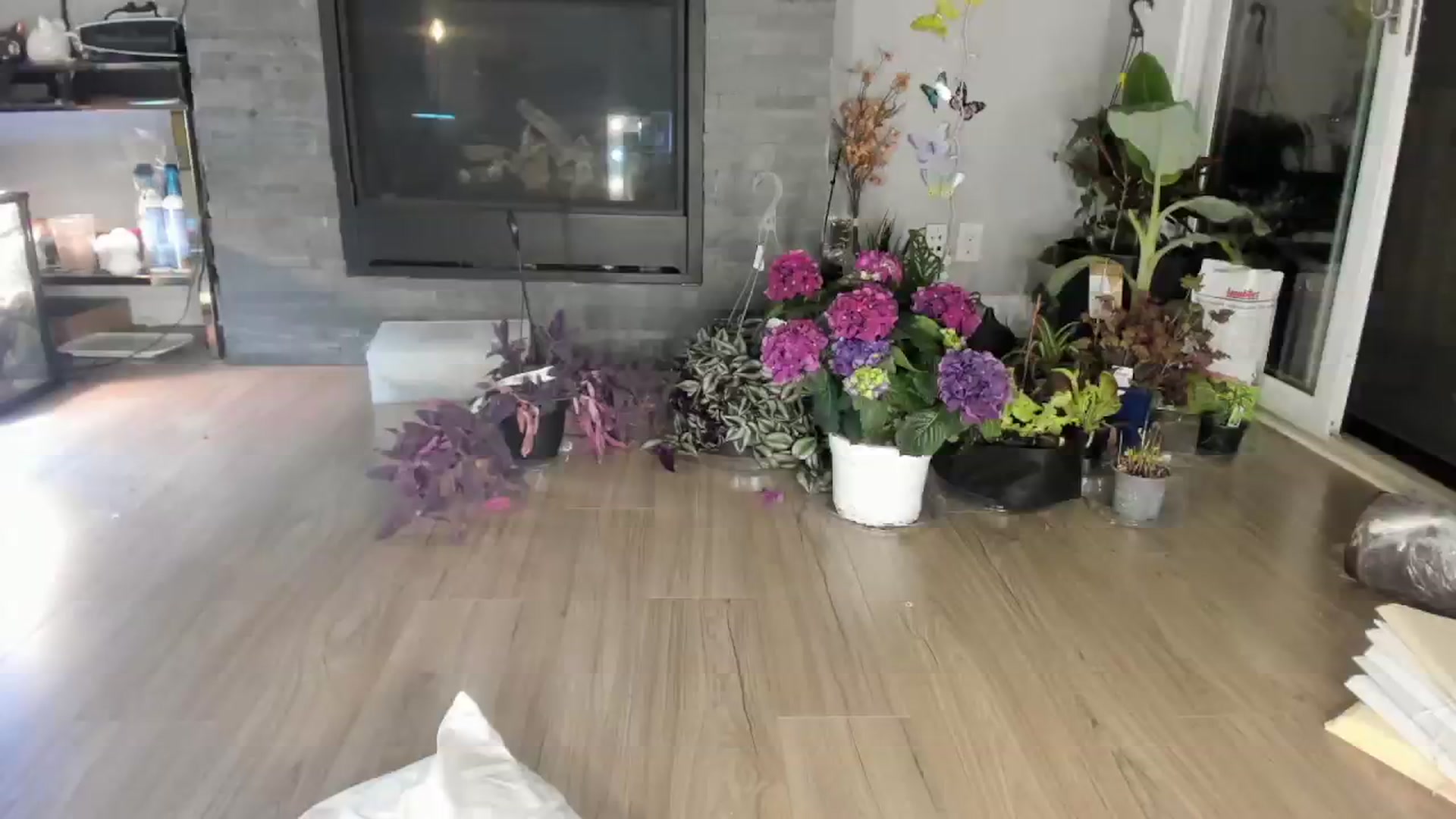 Gallery image thumbnail from Laurel's myfreecams stream on, 04/27/2024, 08:45 image 20 of 20