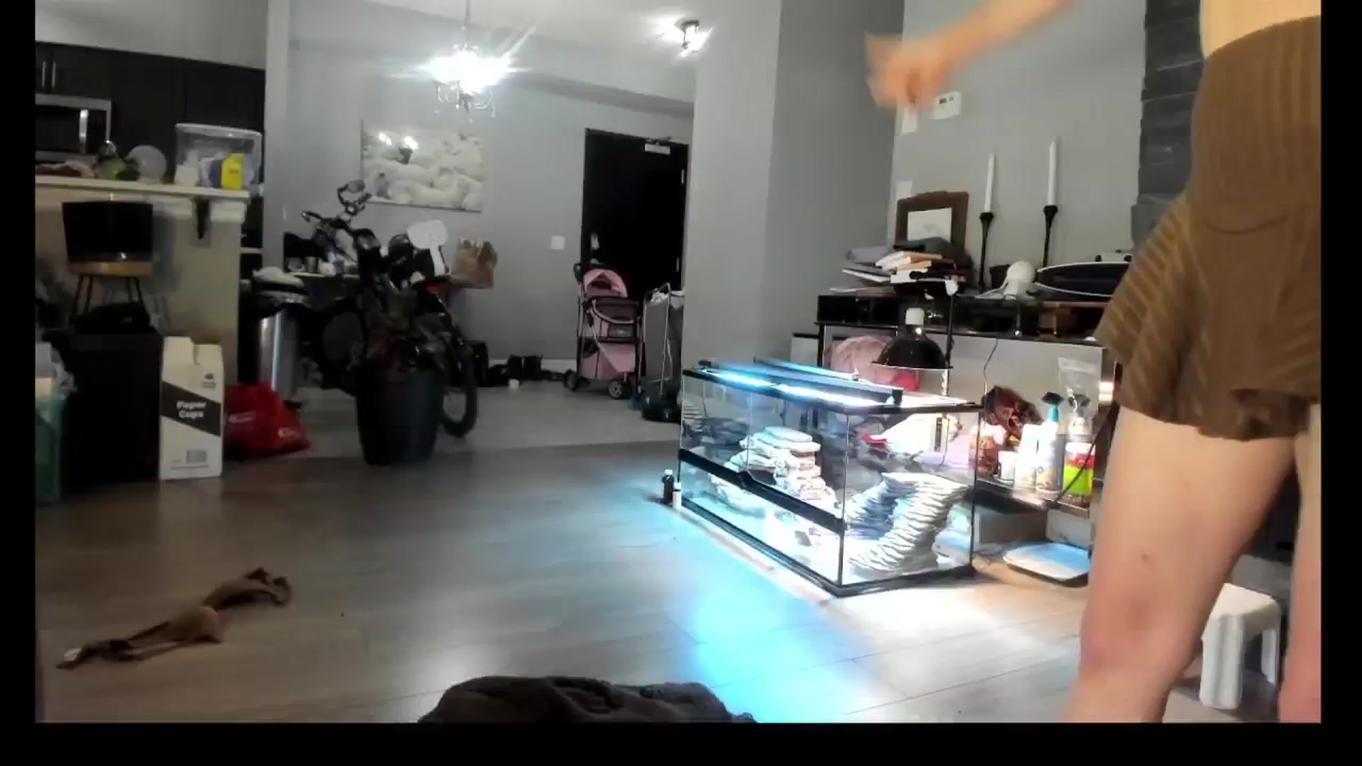 Gallery image thumbnail from Laurel's myfreecams stream on, 05/24/2024, 09:21 image 16 of 20