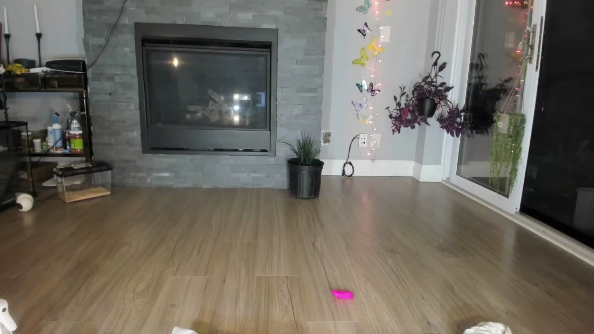 Gallery image thumbnail from Laurel's myfreecams stream on, 06/08/2024, 08:05 image 12 of 20