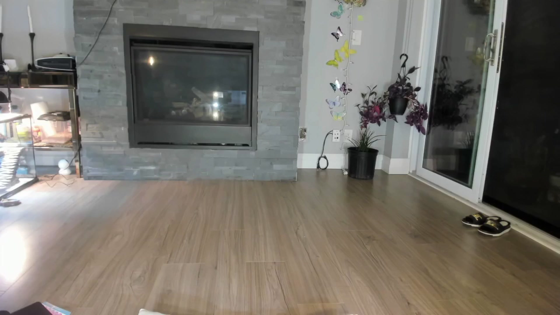 Gallery image thumbnail from Laurel's myfreecams stream on, 06/11/2024, 03:23 image 12 of 20