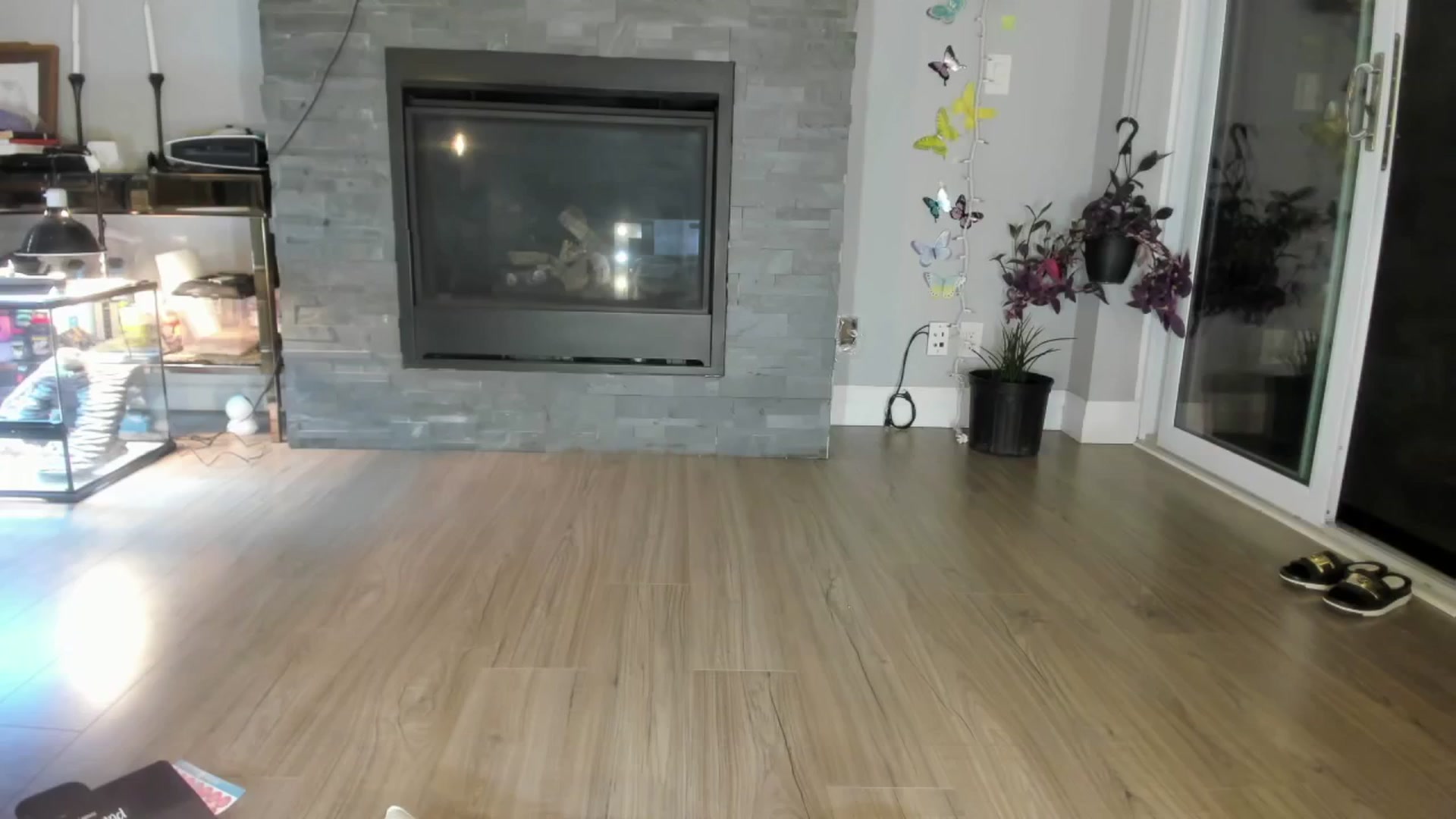 Gallery image thumbnail from Laurel's myfreecams stream on, 06/11/2024, 03:23 image 18 of 20