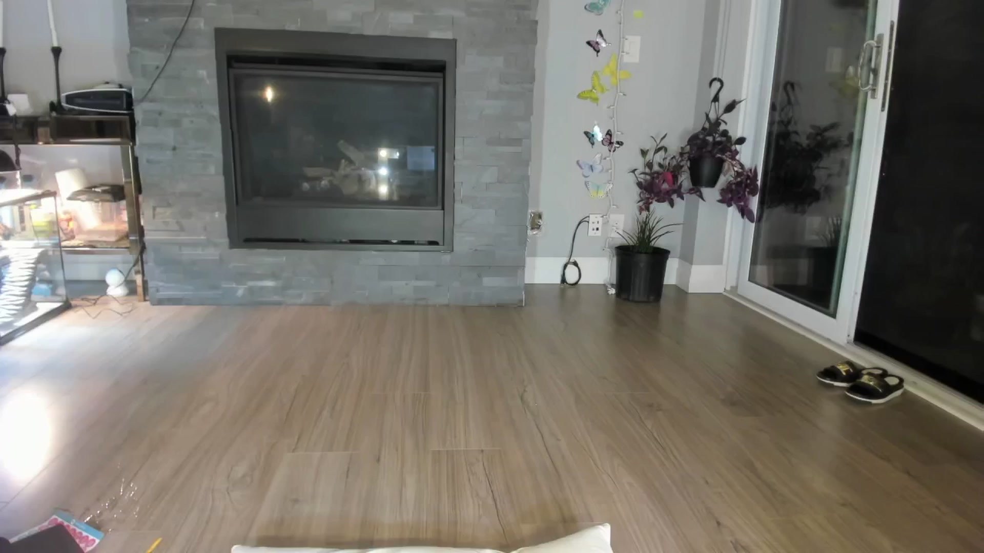 Gallery image thumbnail from Laurel's myfreecams stream on, 06/11/2024, 04:59 image 8 of 20