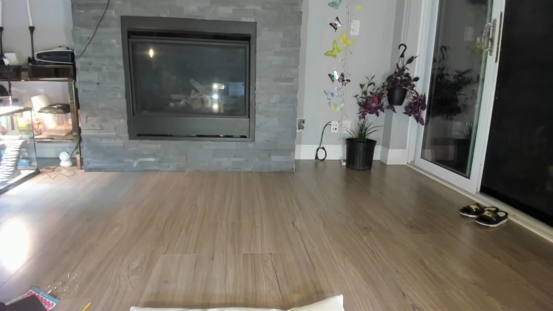 Gallery image thumbnail from Laurel's myfreecams stream on, 06/11/2024, 04:59 image 12 of 20