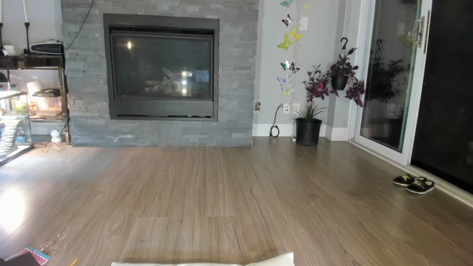 Gallery image thumbnail from Laurel's myfreecams stream on, 06/11/2024, 04:59 image 11 of 20