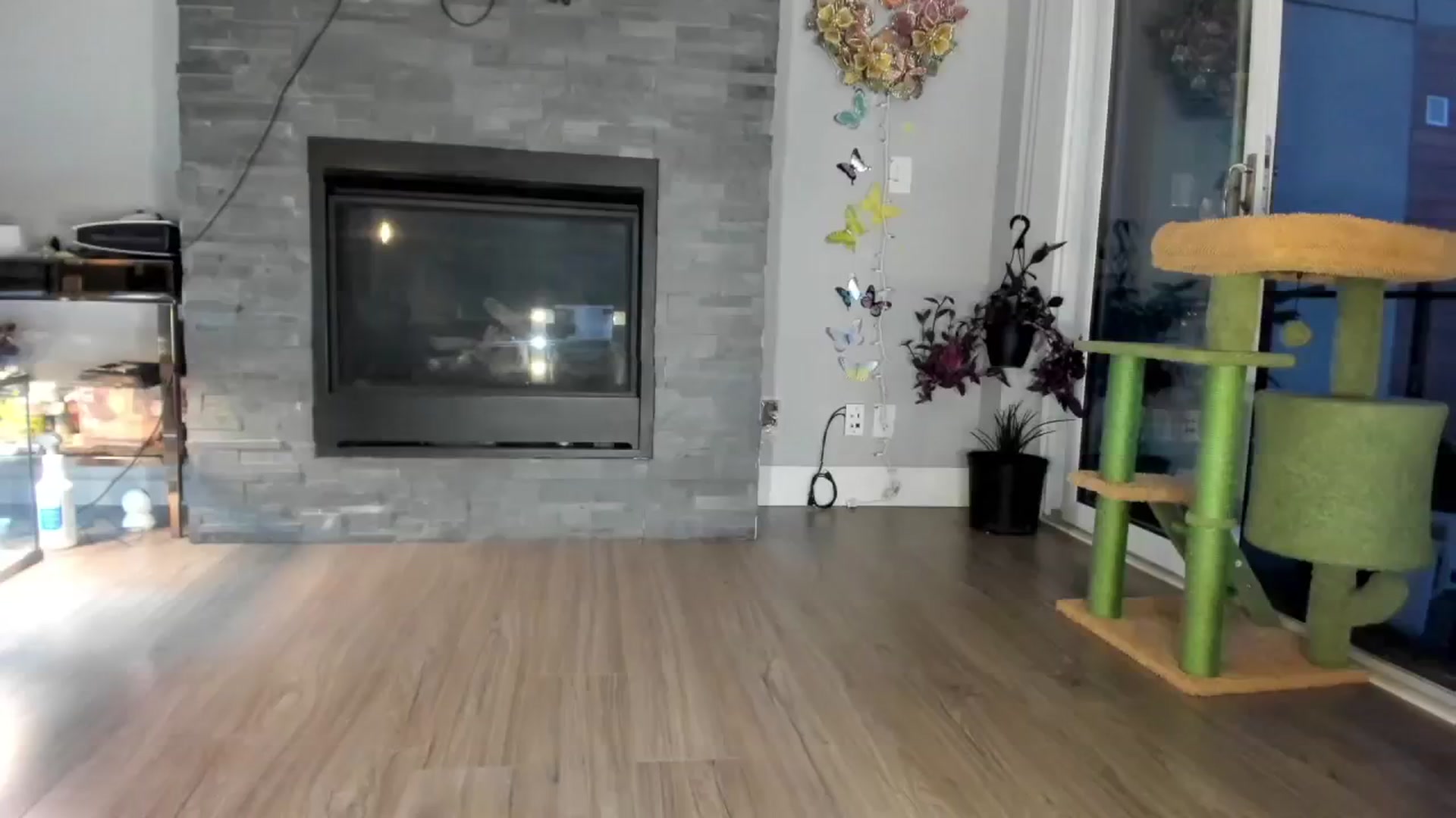 Gallery image thumbnail from Laurel's myfreecams stream on, 06/15/2024, 01:43 image 8 of 20