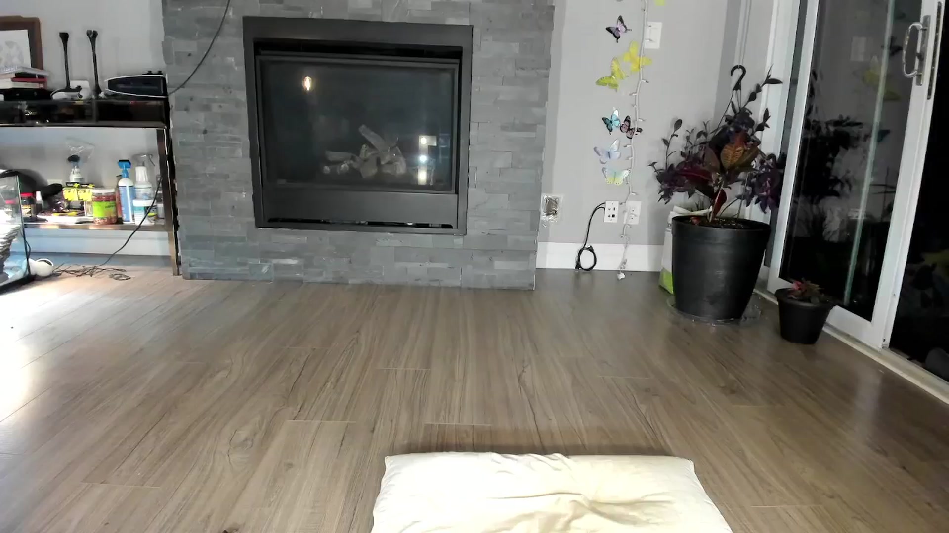 Gallery image thumbnail from Laurel's myfreecams stream on, 07/07/2024, 05:05 image 11 of 20