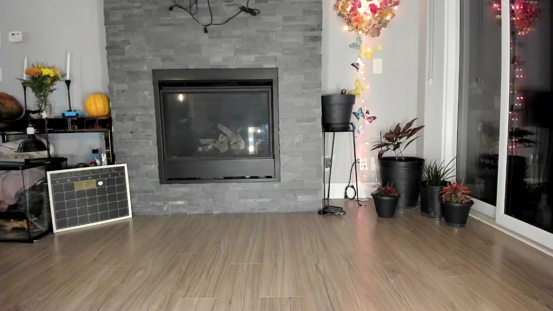 Gallery image thumbnail from Laurel's myfreecams stream on, 10/03/2024, 04:47 image 16 of 20