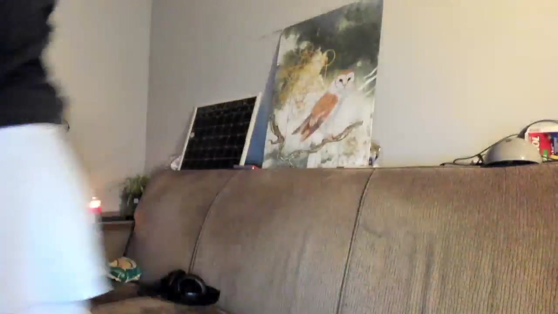 Gallery image thumbnail from Laurel's myfreecams stream on, 10/07/2024, 07:12 image 2 of 20