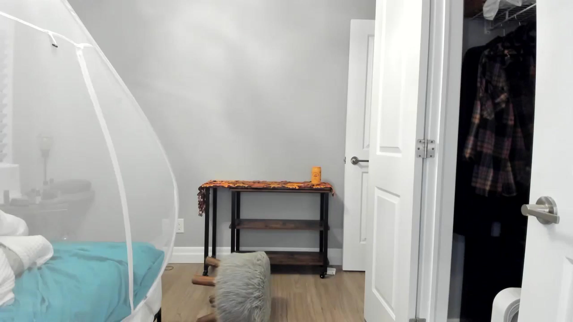 Gallery image thumbnail from Laurel's myfreecams stream on, 10/19/2024, 09:35 image 14 of 20