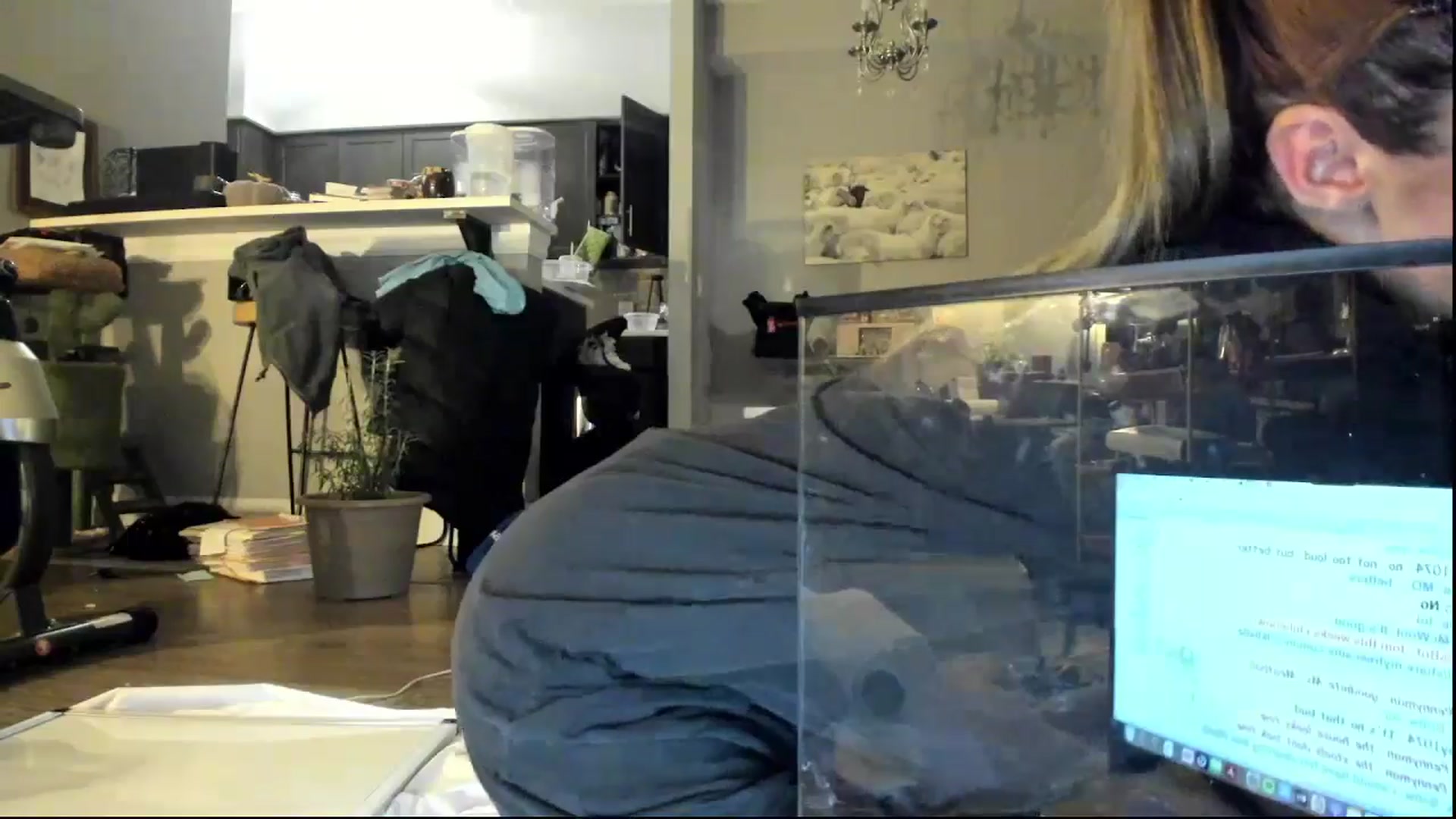 Gallery image thumbnail from Laurel's myfreecams stream on, 11/02/2024, 06:51 image 3 of 20