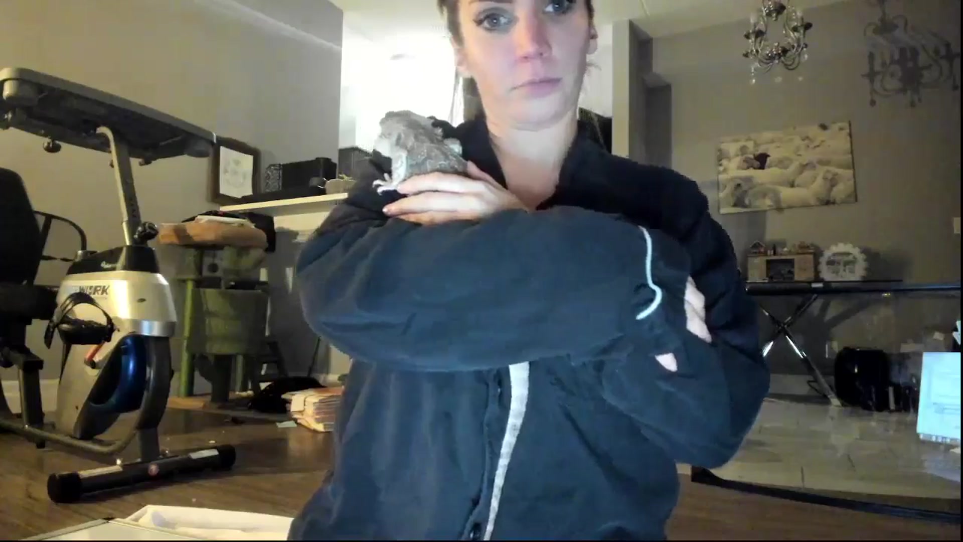 Gallery image thumbnail from Laurel's myfreecams stream on, 11/02/2024, 06:51 image 7 of 20