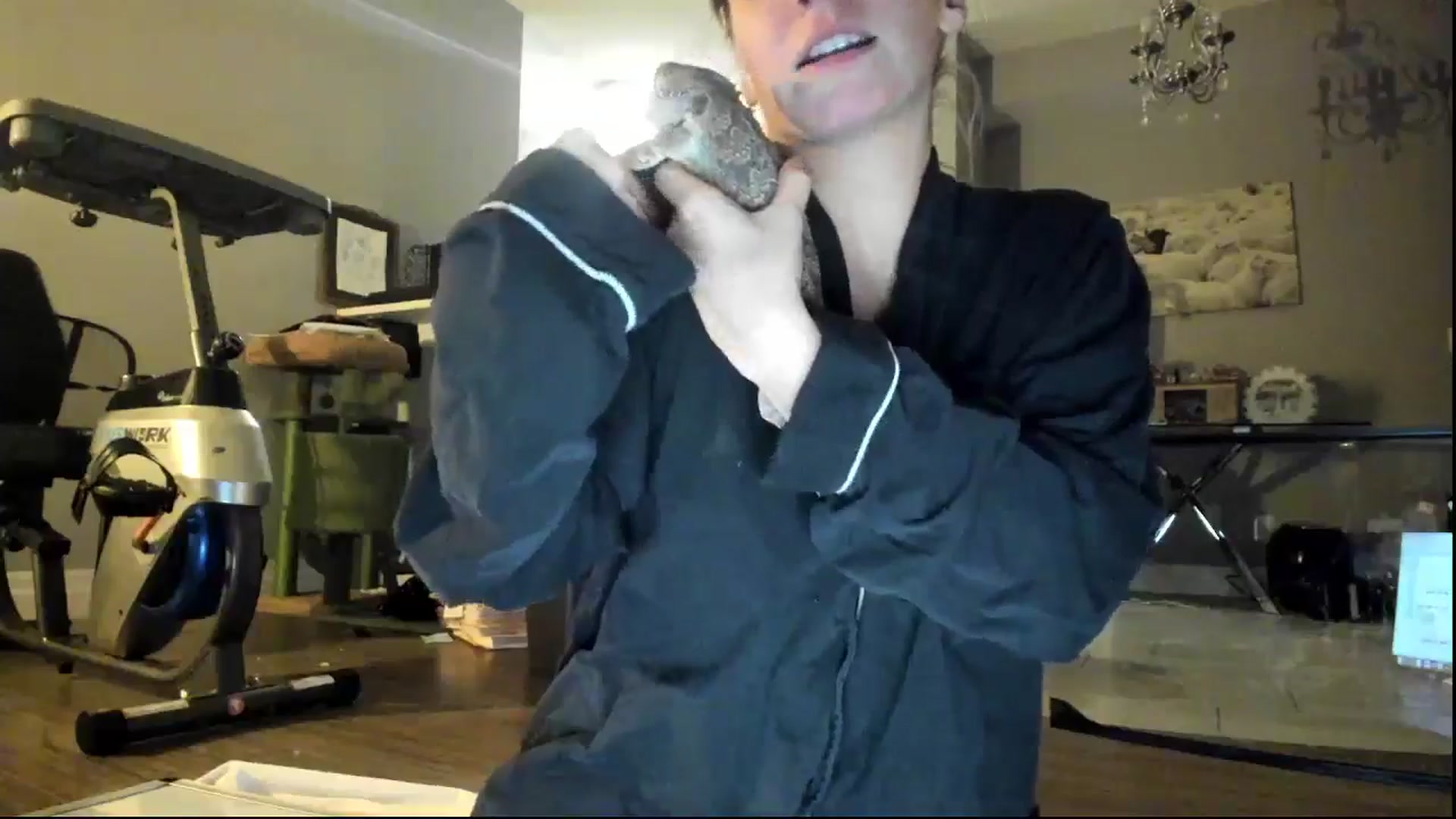 Gallery image thumbnail from Laurel's myfreecams stream on, 11/02/2024, 06:51 image 14 of 20