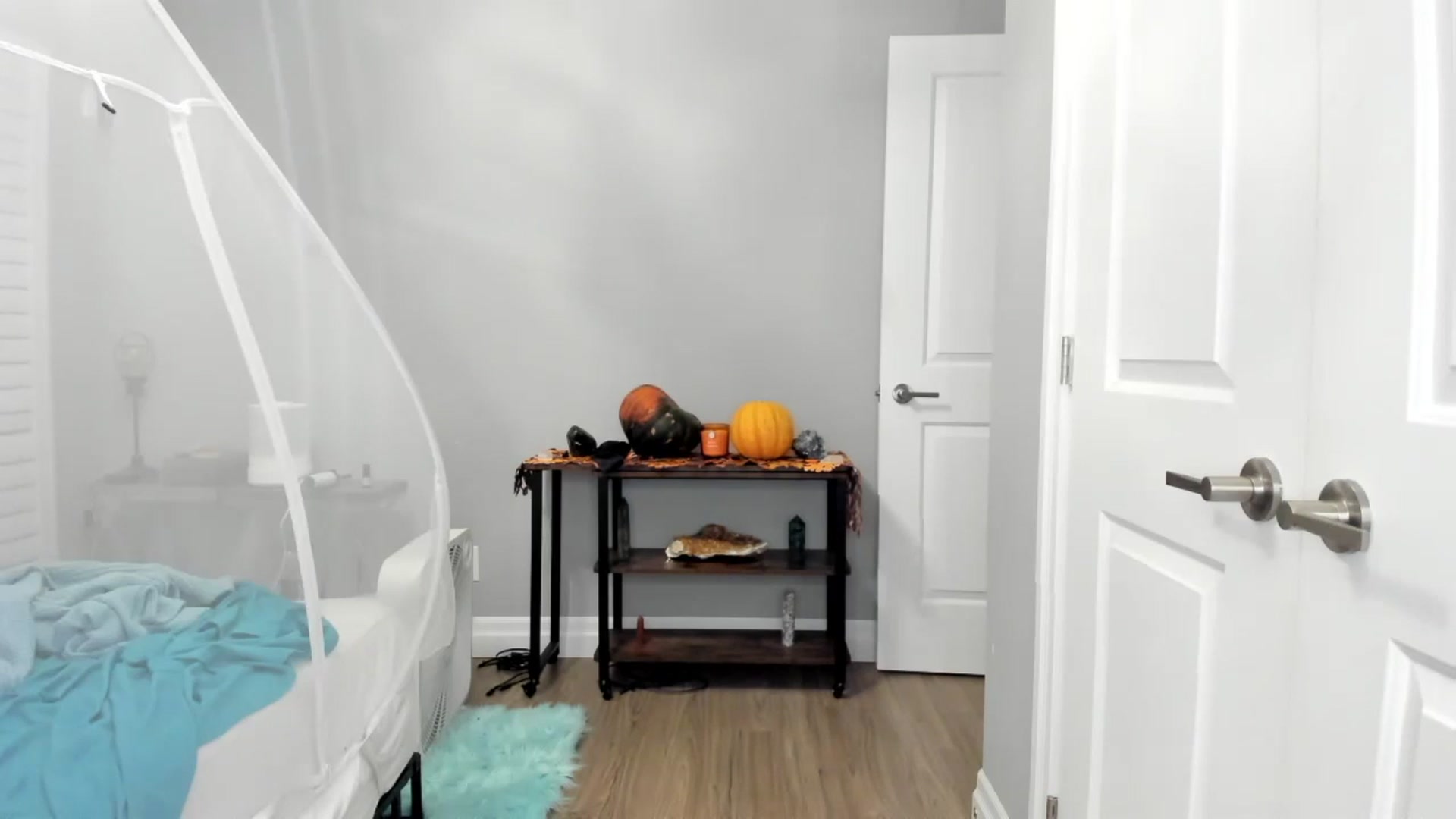 Gallery image thumbnail from Laurel's myfreecams stream on, 11/08/2024, 06:32 image 12 of 20