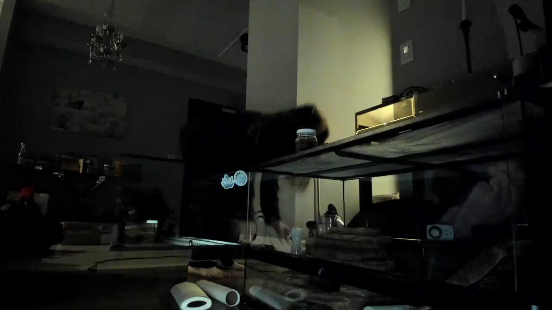 Gallery image thumbnail from Laurel's myfreecams stream on, 11/08/2024, 11:14 image 19 of 20