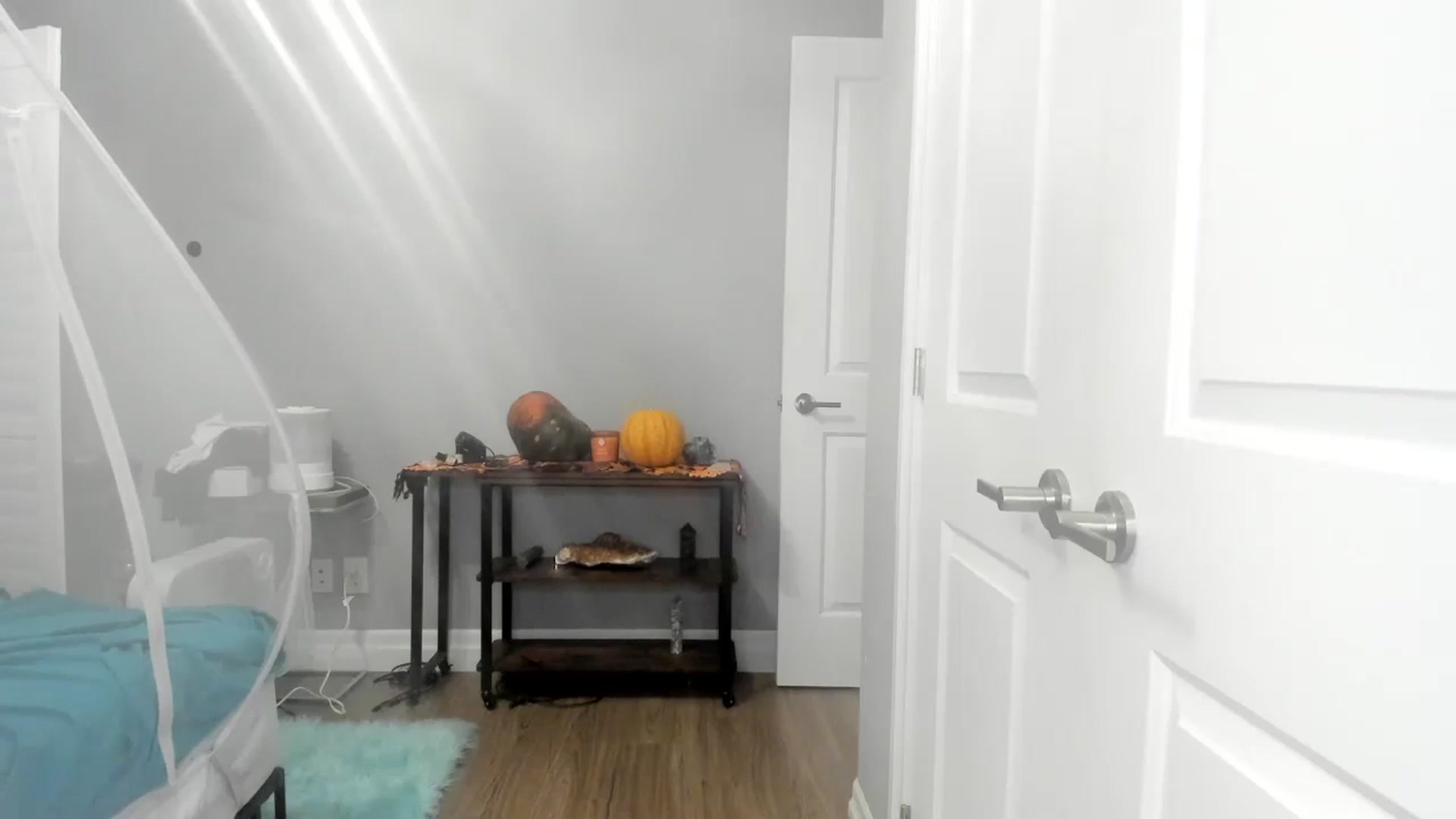 Gallery image thumbnail from Laurel's myfreecams stream on, 11/16/2024, 08:23 image 17 of 20