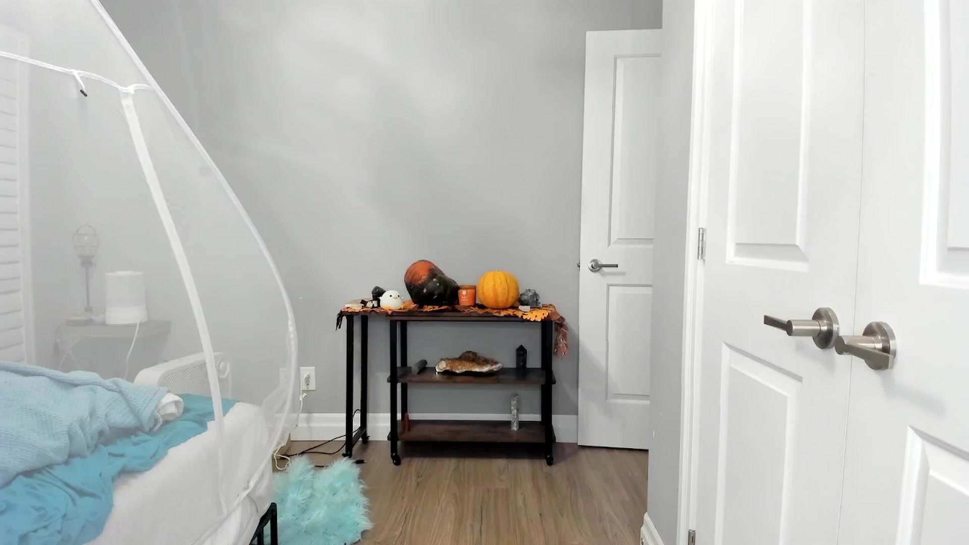 Gallery image thumbnail from Laurel's myfreecams stream on, 11/30/2024, 06:17 image 2 of 20