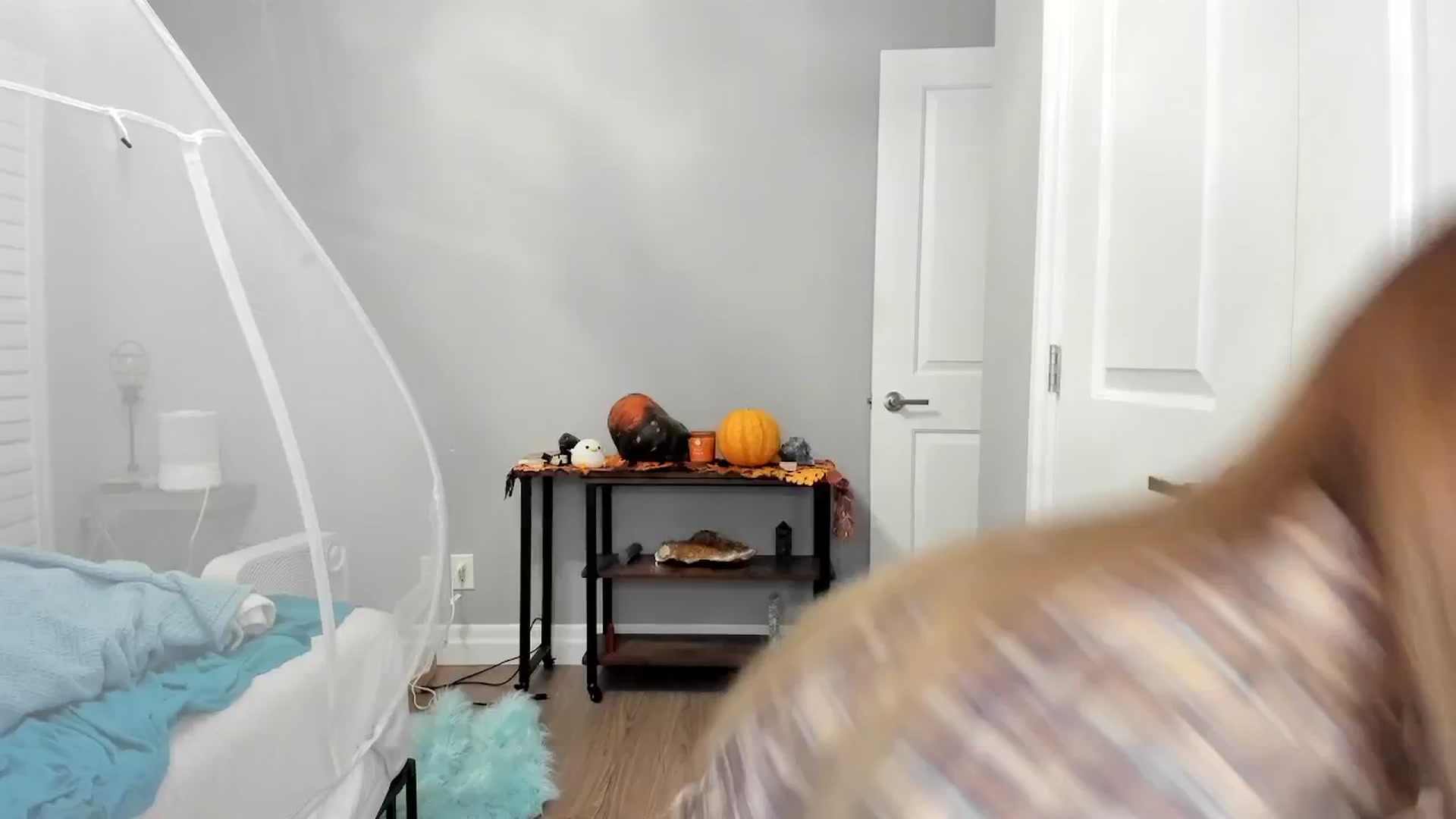 Gallery image thumbnail from Laurel's myfreecams stream on, 11/30/2024, 06:17 image 10 of 20