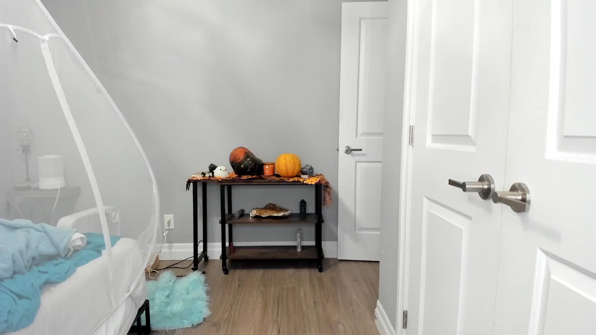 Gallery image thumbnail from Laurel's myfreecams stream on, 11/30/2024, 08:37 image 5 of 20