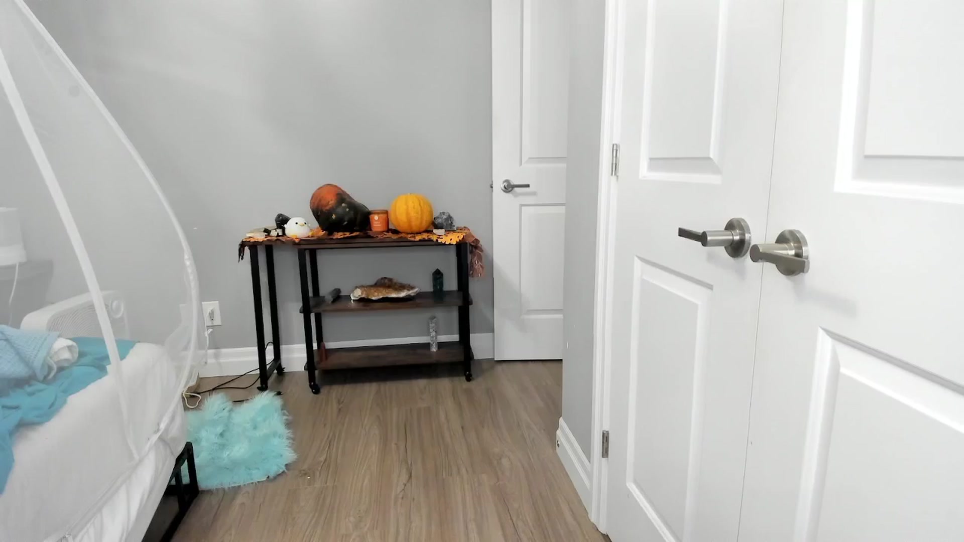 Gallery image thumbnail from Laurel's myfreecams stream on, 11/30/2024, 12:21 image 4 of 20