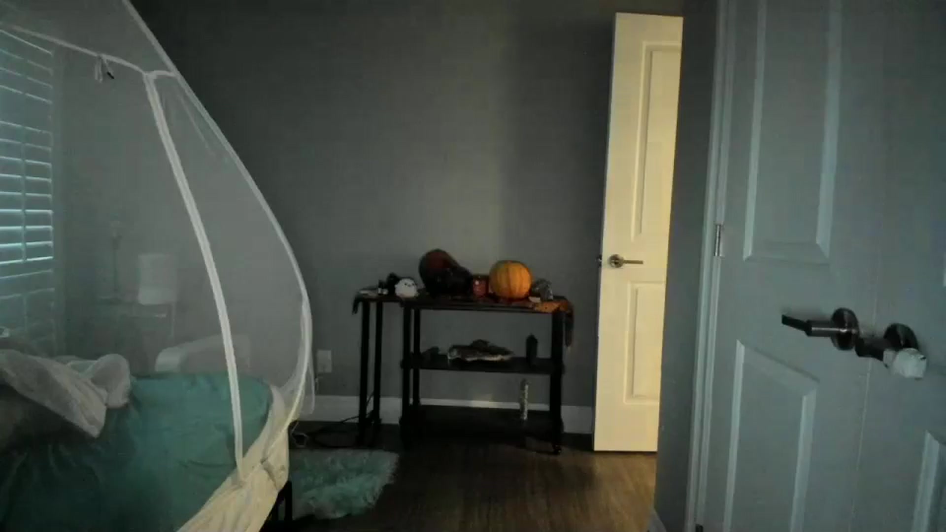 Gallery image thumbnail from Laurel's myfreecams stream on, 12/13/2024, 13:22 image 18 of 20