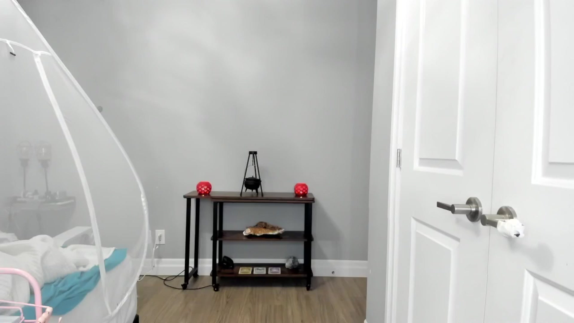Gallery image thumbnail from Laurel's myfreecams stream on, 01/16/2025, 05:40 image 20 of 20