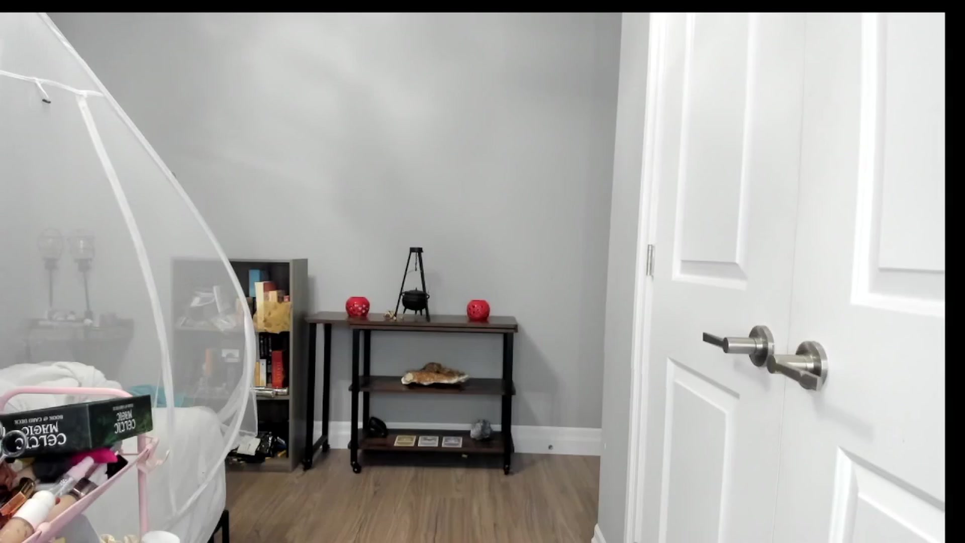 Gallery image thumbnail from Laurel's myfreecams stream on, 02/01/2025, 08:57 image 15 of 20