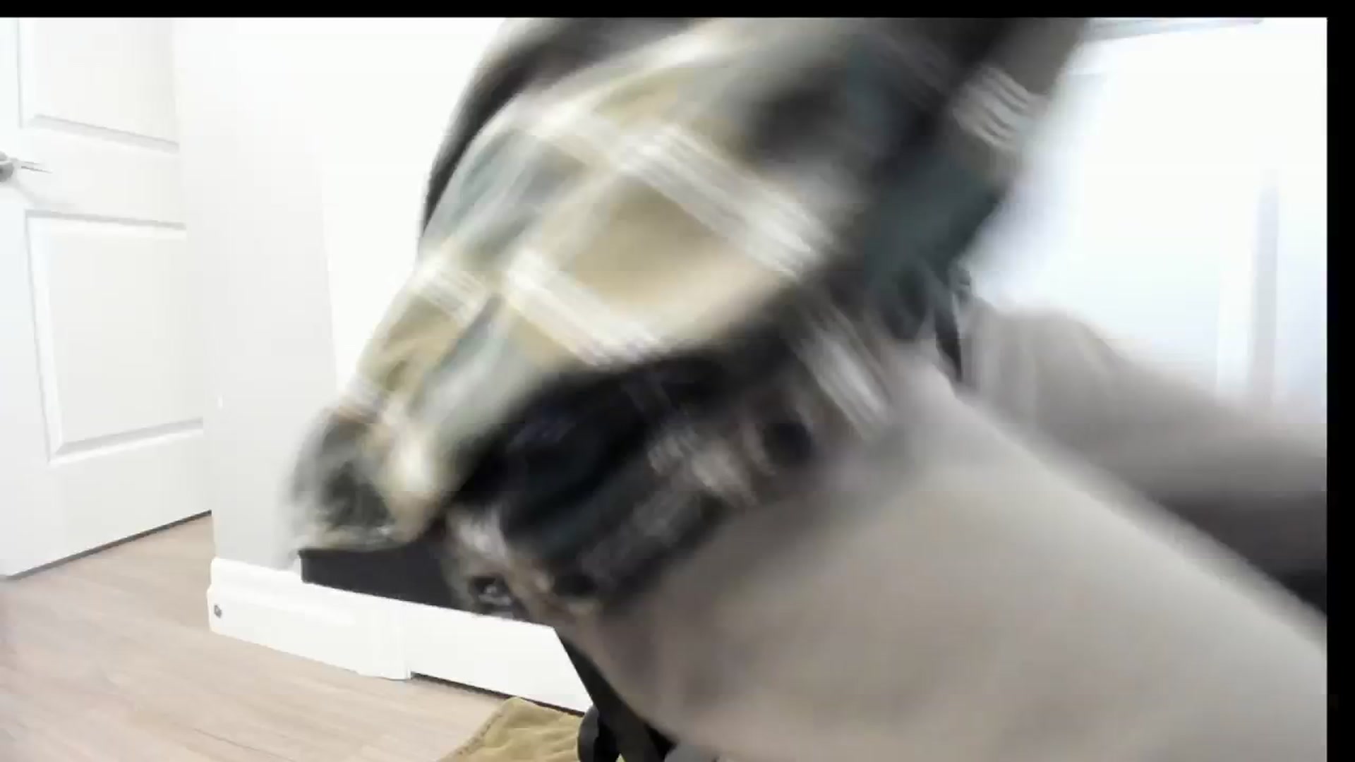 Gallery image thumbnail from Laurel's myfreecams stream on, 02/03/2025, 09:30 image 18 of 20