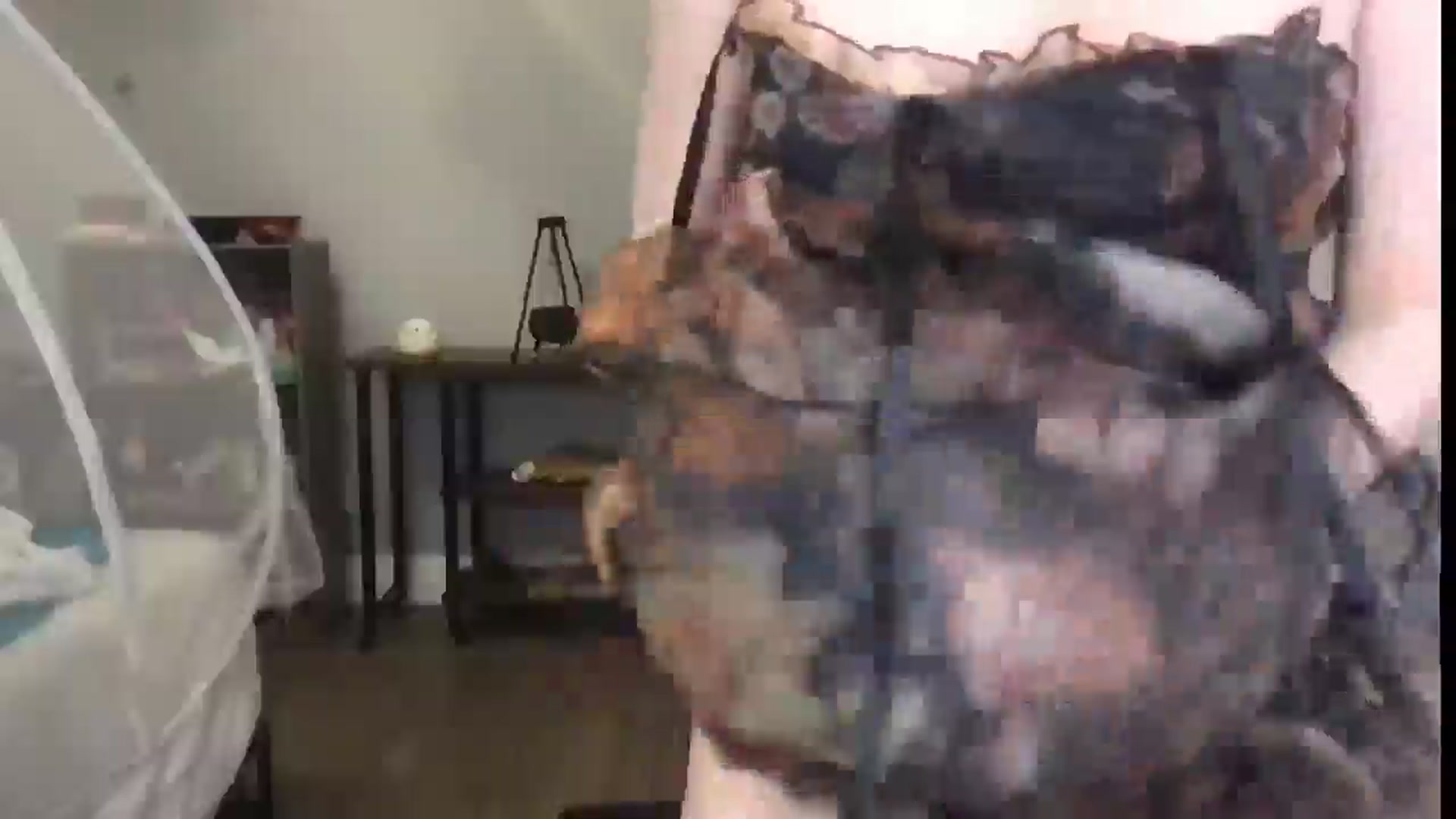 Gallery image thumbnail from Laurel's myfreecams stream on, 04/06/2025, 07:48 image 9 of 20
