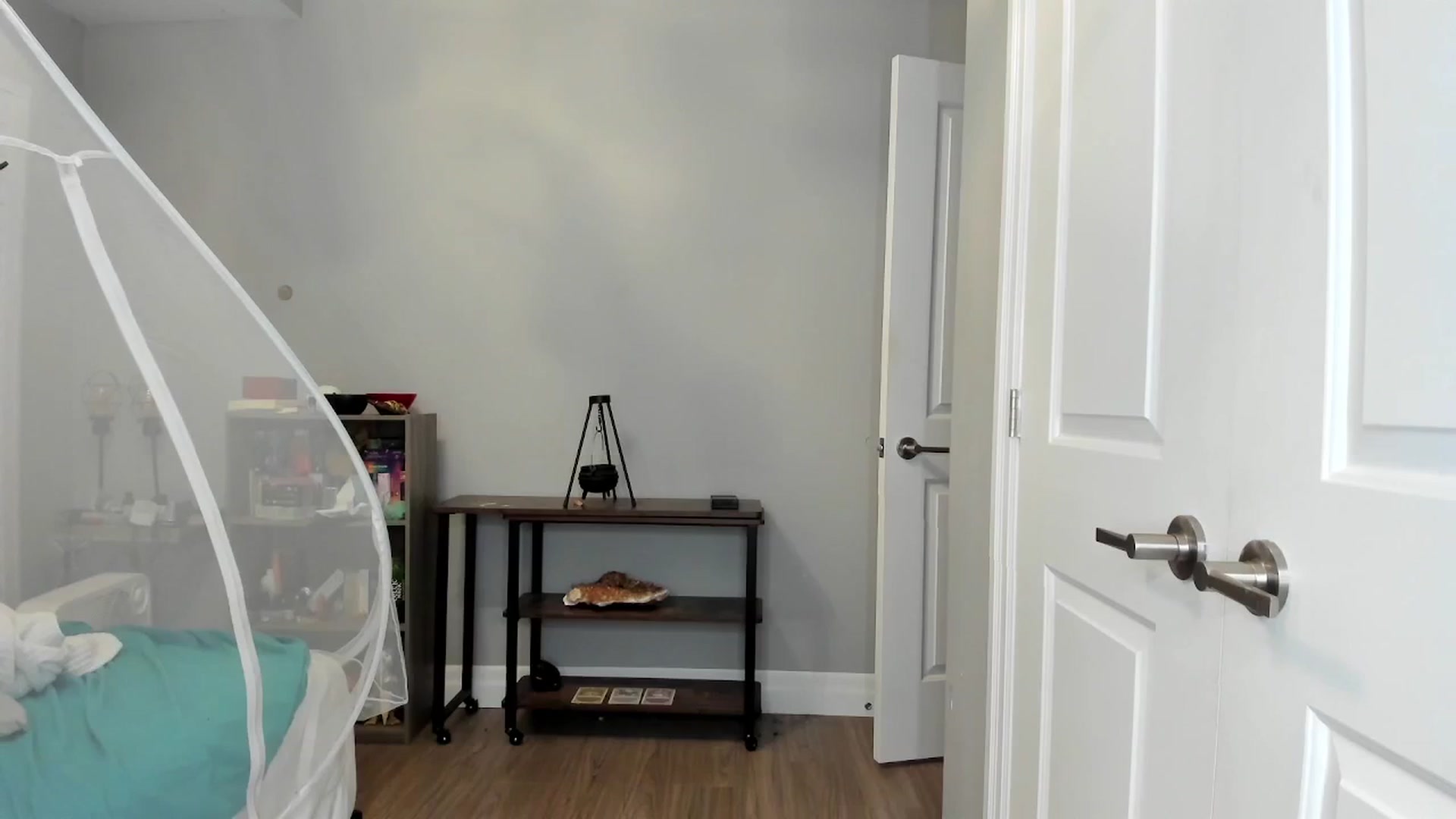 Gallery image thumbnail from Laurel's myfreecams stream on, 04/14/2025, 04:27 image 15 of 20