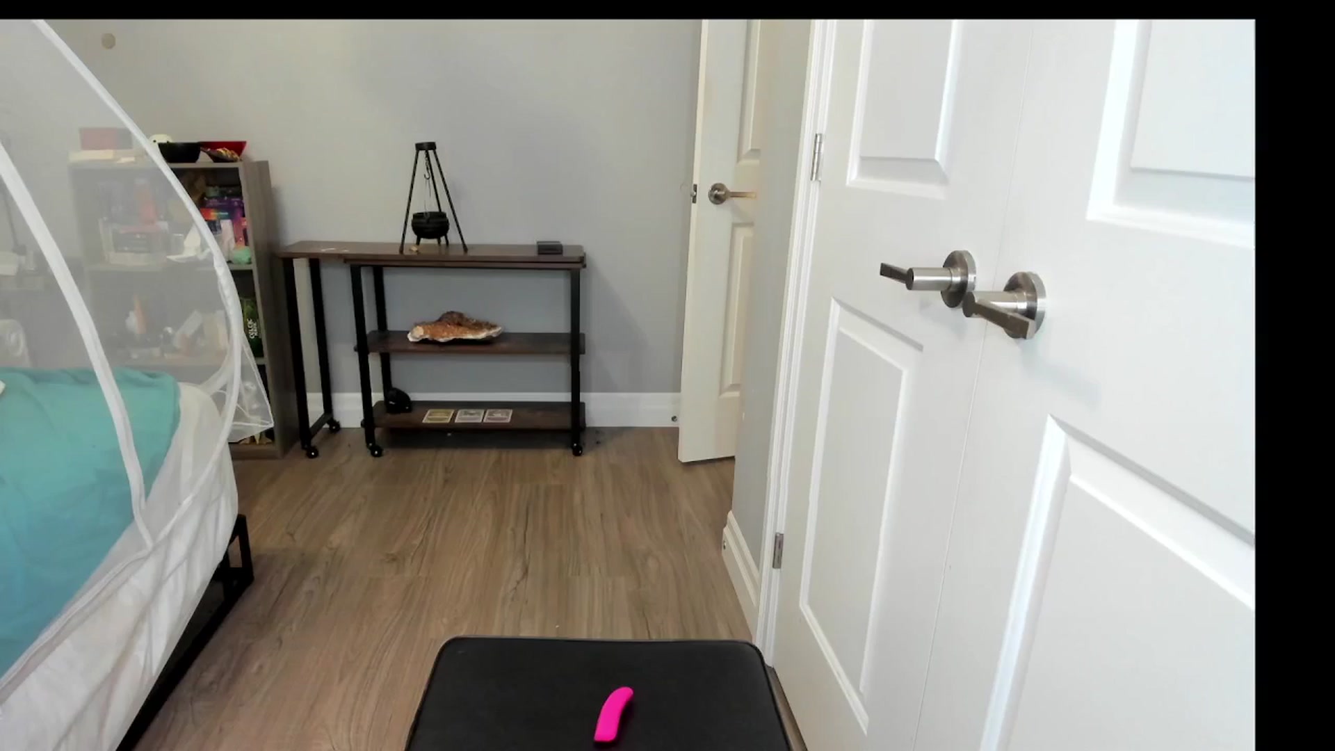 Gallery image thumbnail from Laurel's myfreecams stream on, 04/14/2025, 06:24 image 12 of 20