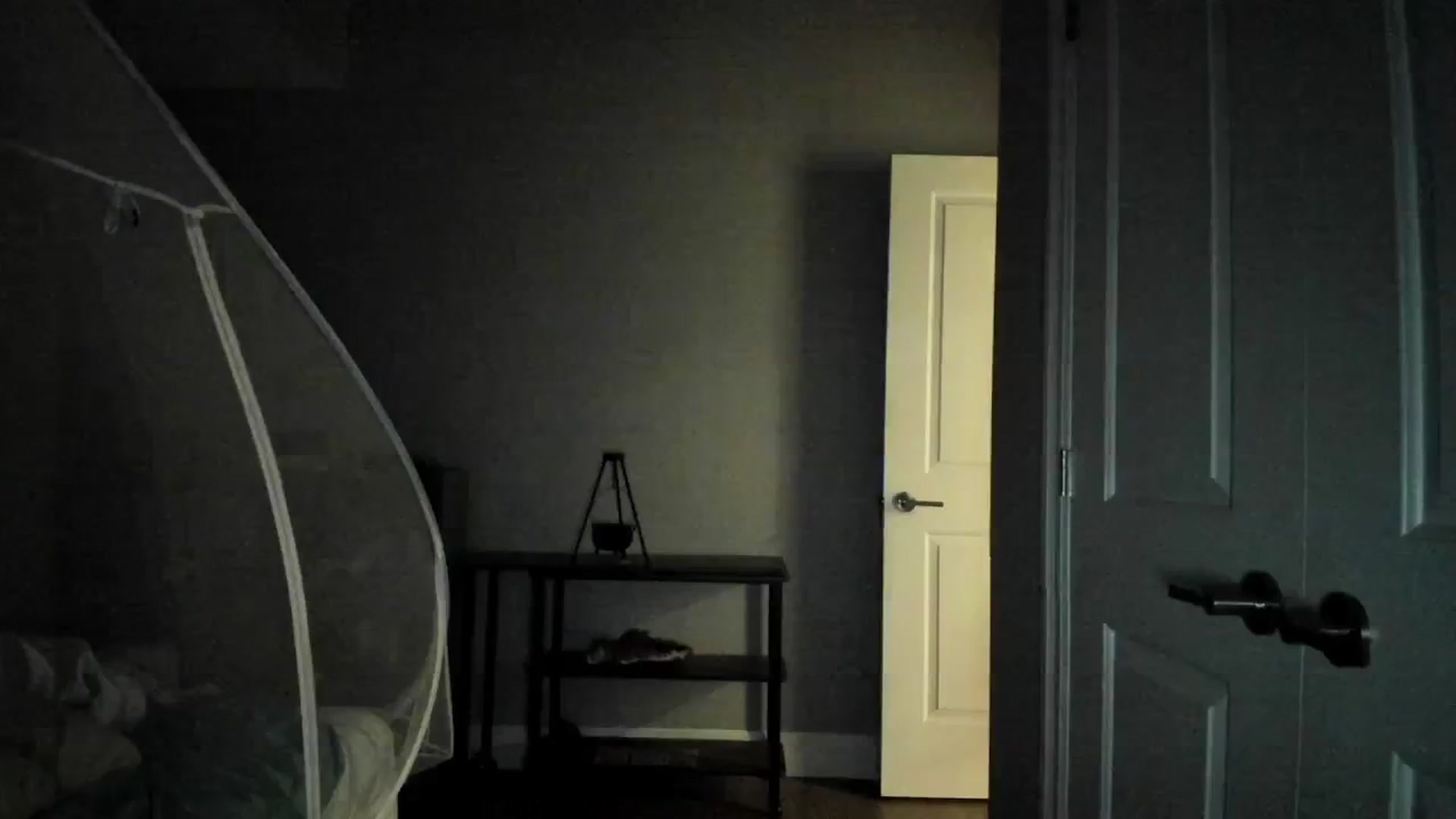 Gallery image thumbnail from Laurel's myfreecams stream on, 04/24/2025, 08:24 image 19 of 20