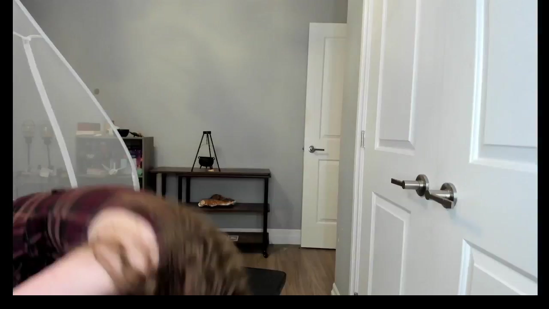 Gallery image thumbnail from Laurel's myfreecams stream on, 04/29/2025, 06:03 image 16 of 20